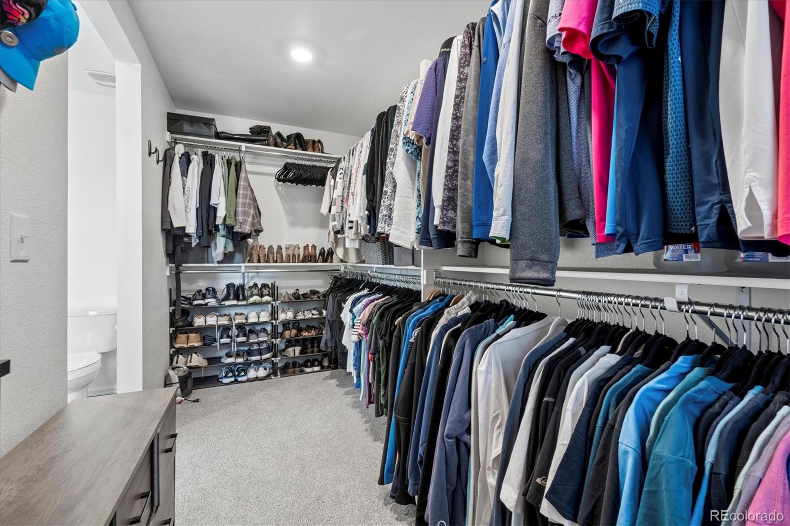 MLS Image #17 for 6906  longpark drive,parker, Colorado