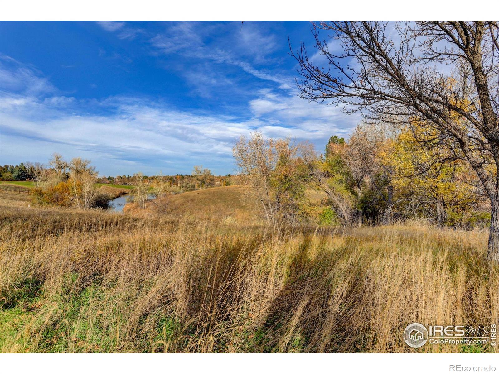 MLS Image #42 for 2111  ranch drive,westminster, Colorado