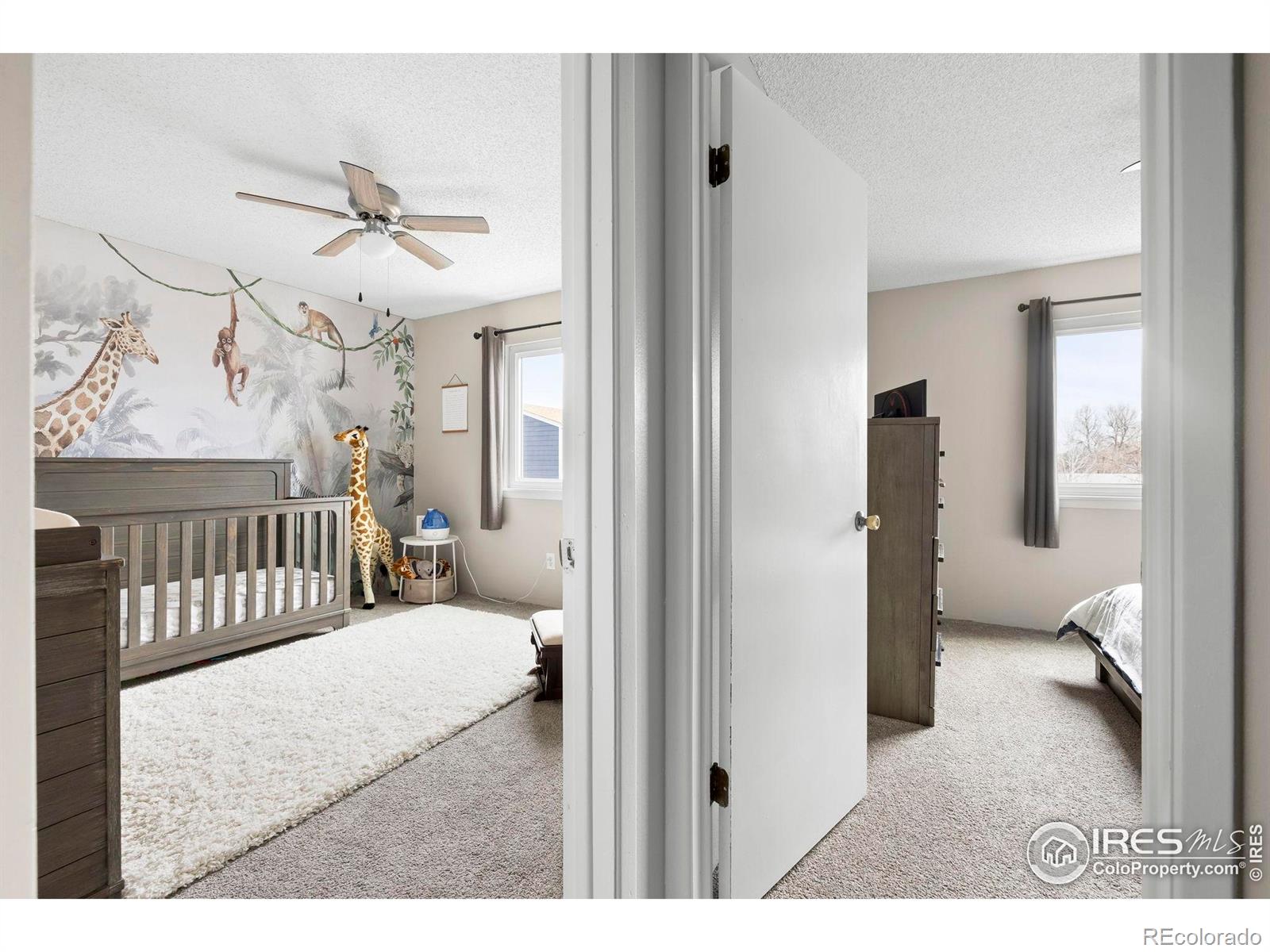 MLS Image #12 for 709  arrow court,lafayette, Colorado