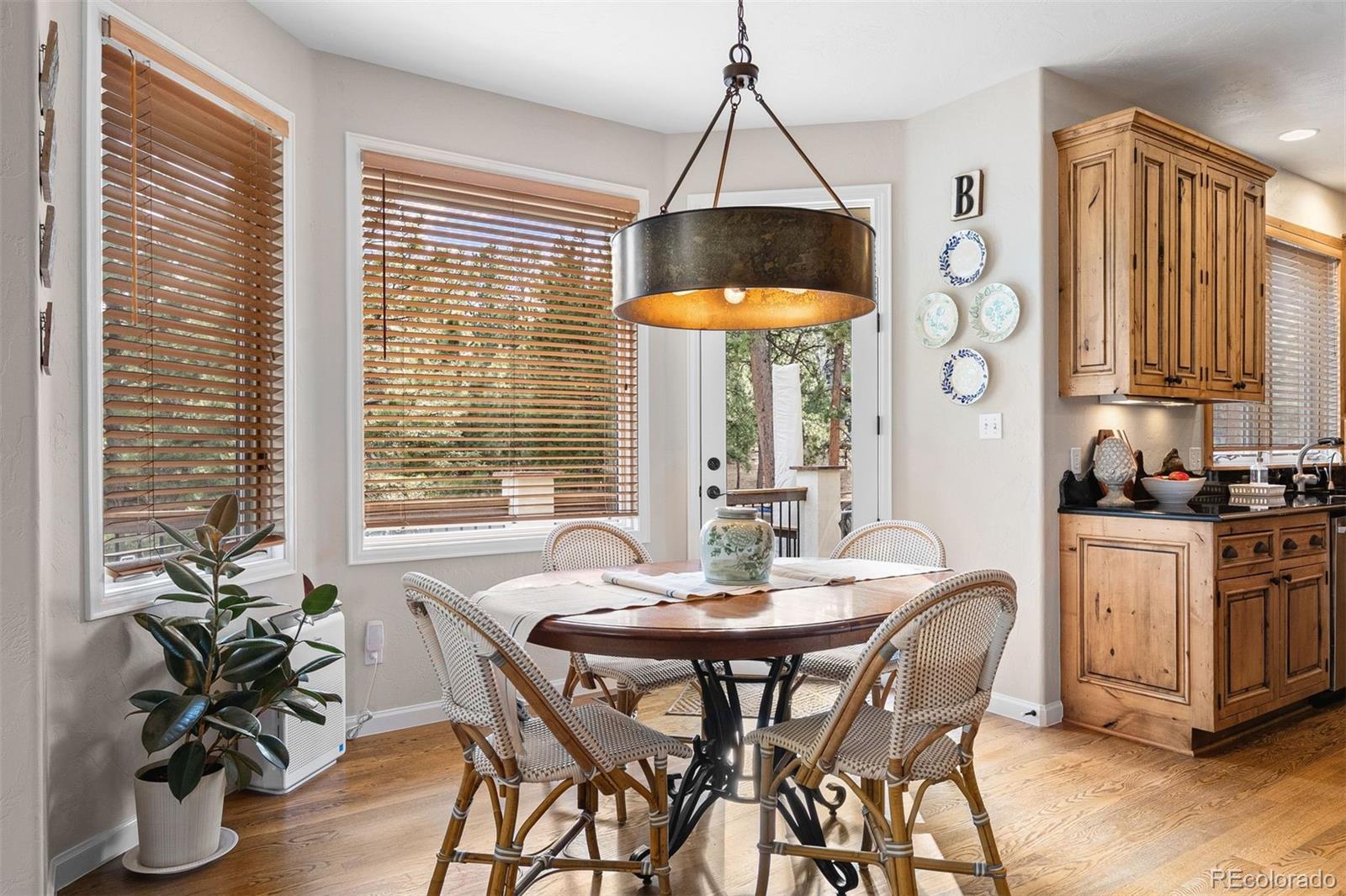 MLS Image #11 for 1443  belford court,evergreen, Colorado