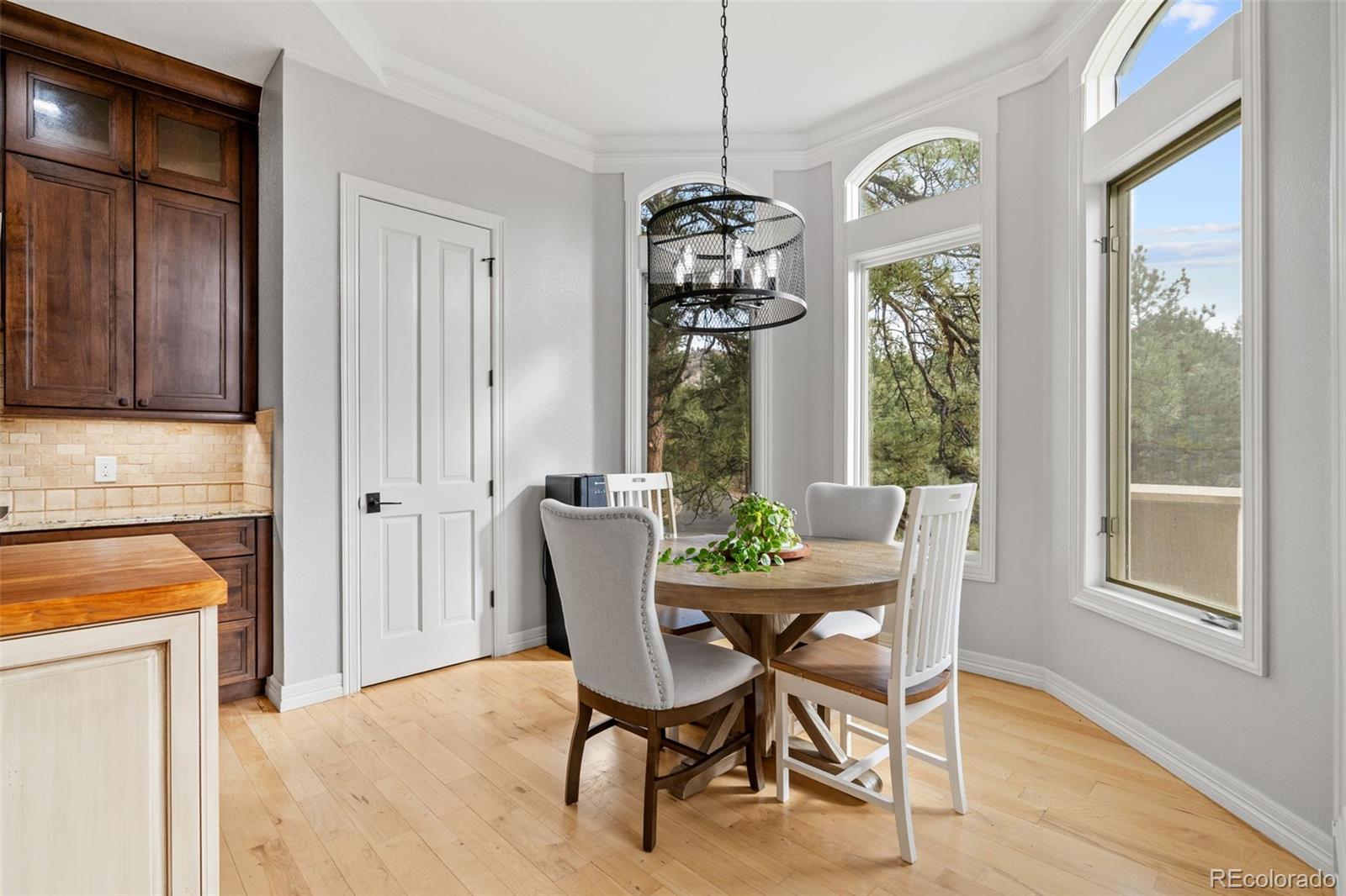 MLS Image #19 for 226  hidden valley lane,castle rock, Colorado