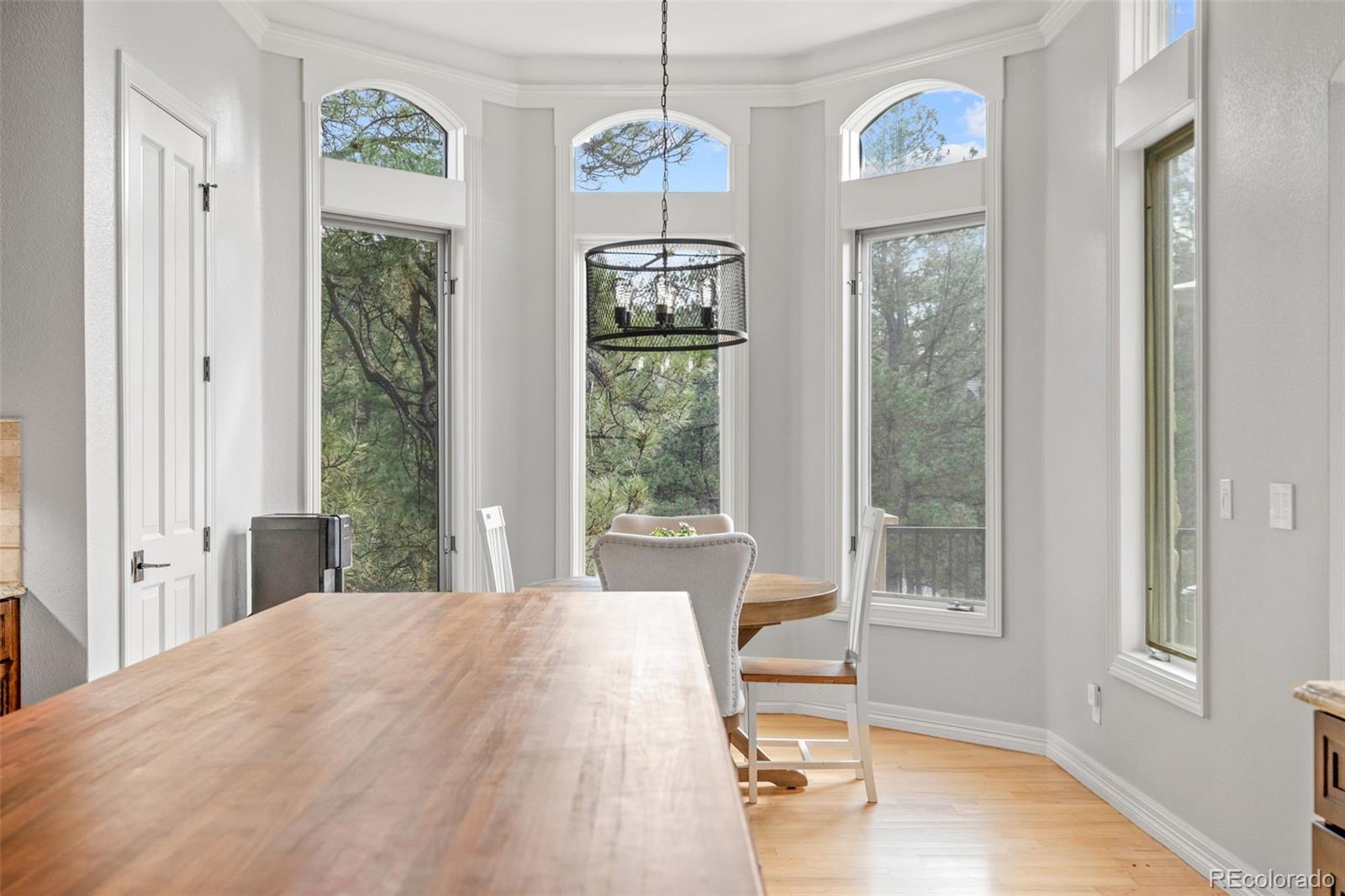 MLS Image #24 for 226  hidden valley lane,castle rock, Colorado