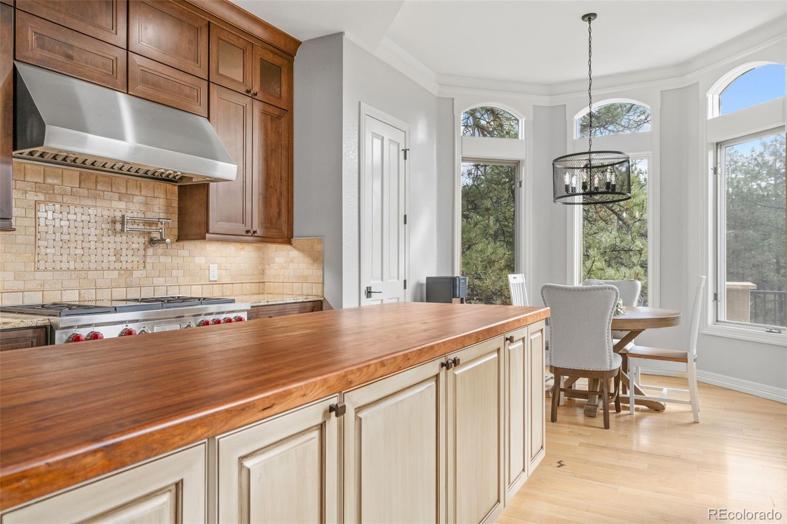 MLS Image #25 for 226  hidden valley lane,castle rock, Colorado