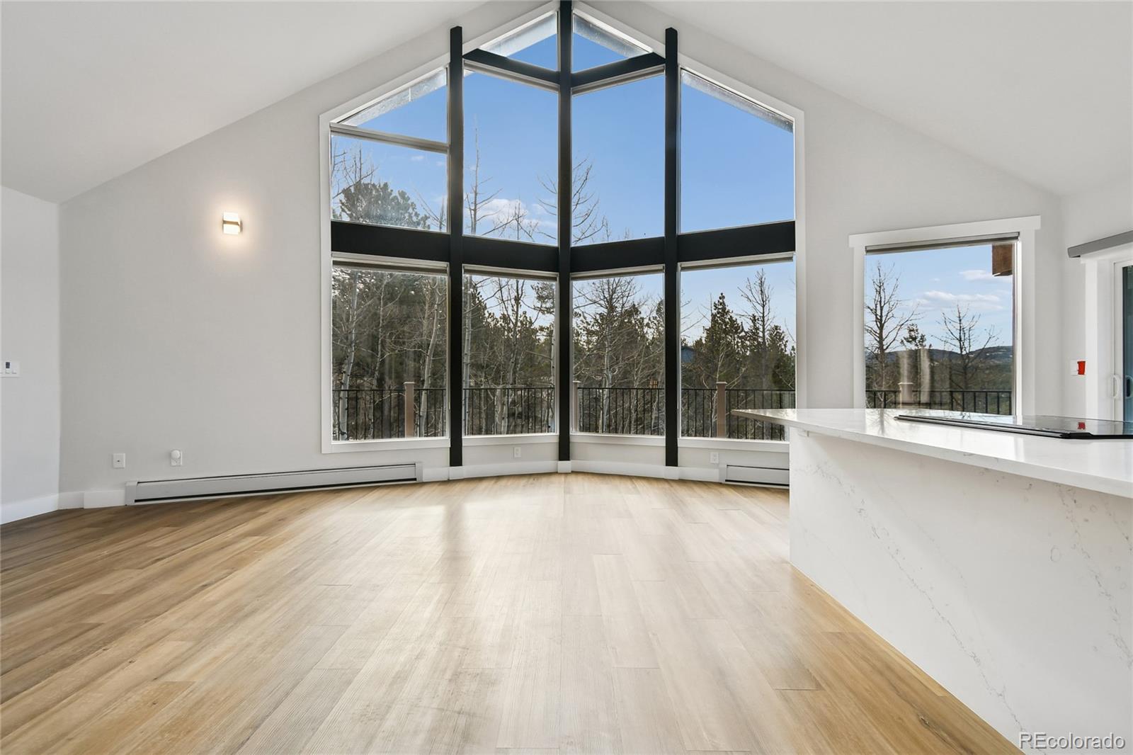 MLS Image #3 for 225  evergreen road,black hawk, Colorado