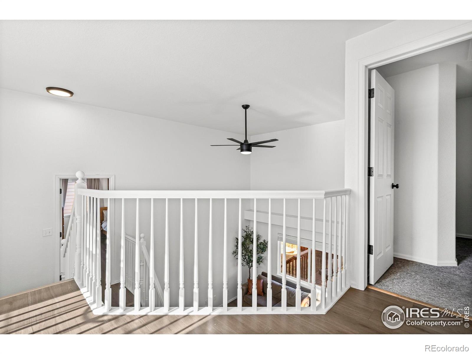 MLS Image #21 for 438  hudson court,fort collins, Colorado