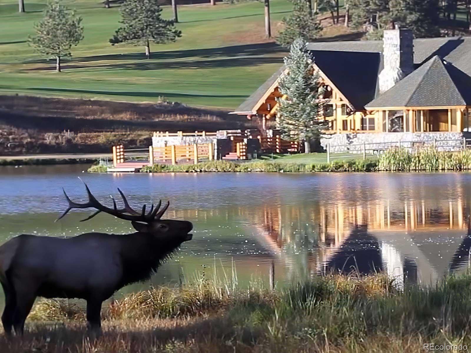 MLS Image #46 for 2122  cramner court,evergreen, Colorado