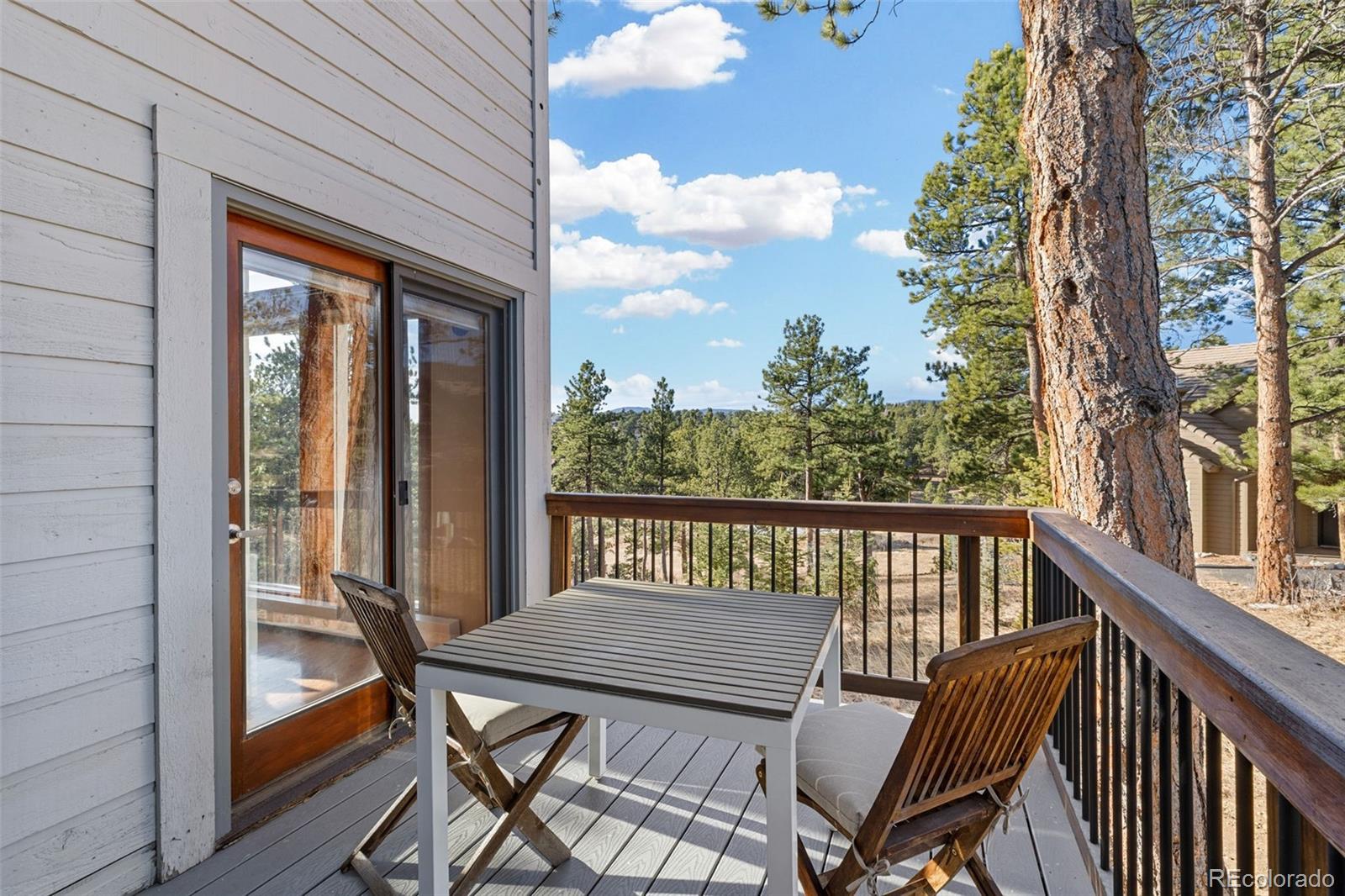 MLS Image #9 for 2122  cramner court,evergreen, Colorado