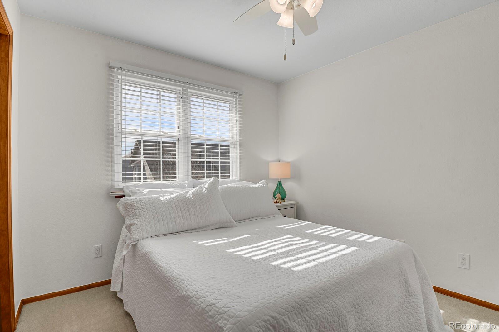 MLS Image #20 for 1624  flint court,broomfield, Colorado