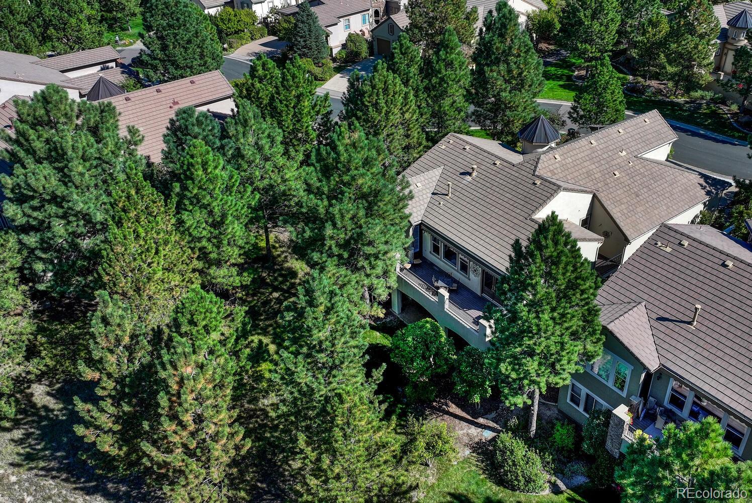 MLS Image #45 for 5054  vermillion lane,castle rock, Colorado