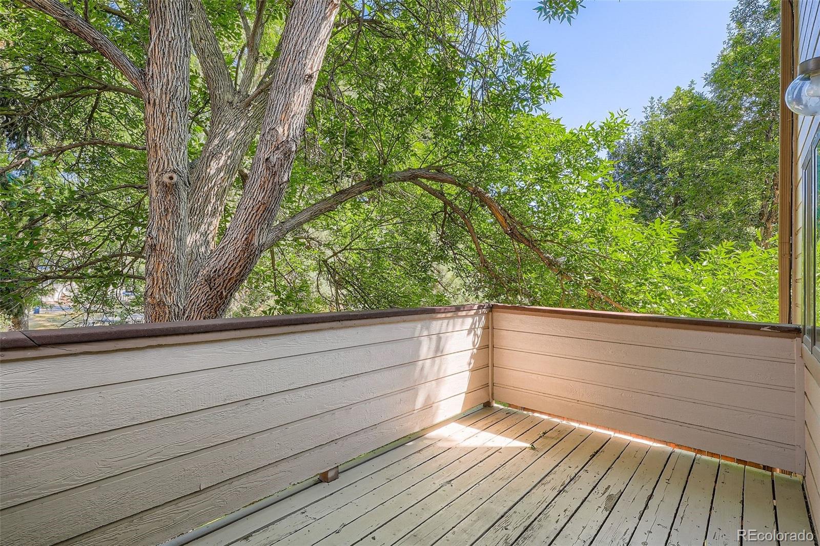 MLS Image #21 for 1008  homestake drive 2a,golden, Colorado