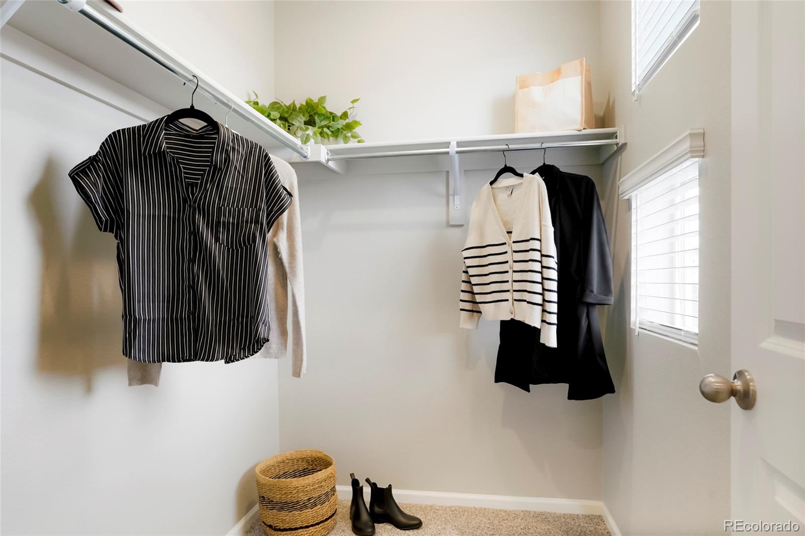 MLS Image #15 for 13809  del corso way ,broomfield, Colorado