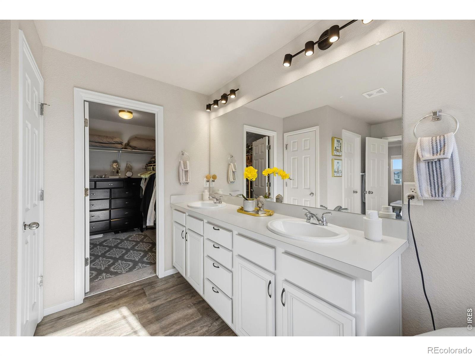 MLS Image #24 for 5247  alberta falls street,timnath, Colorado