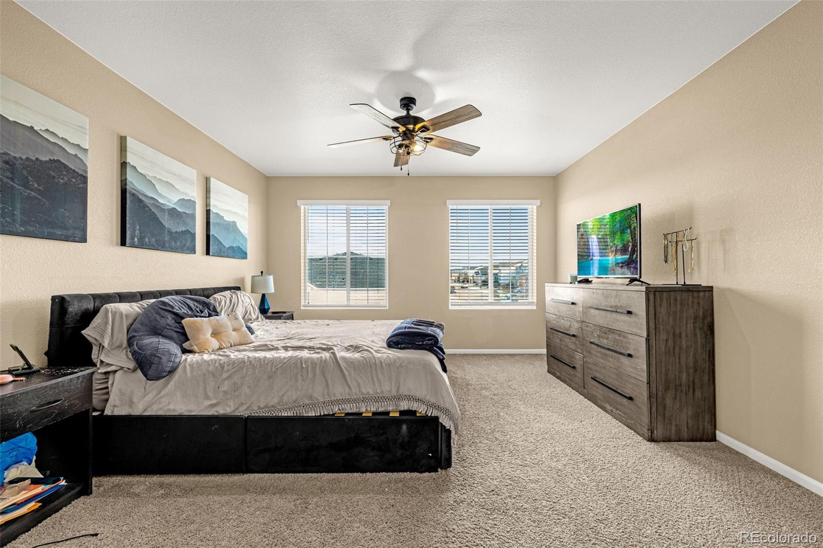 MLS Image #22 for 91 s quantock street,aurora, Colorado