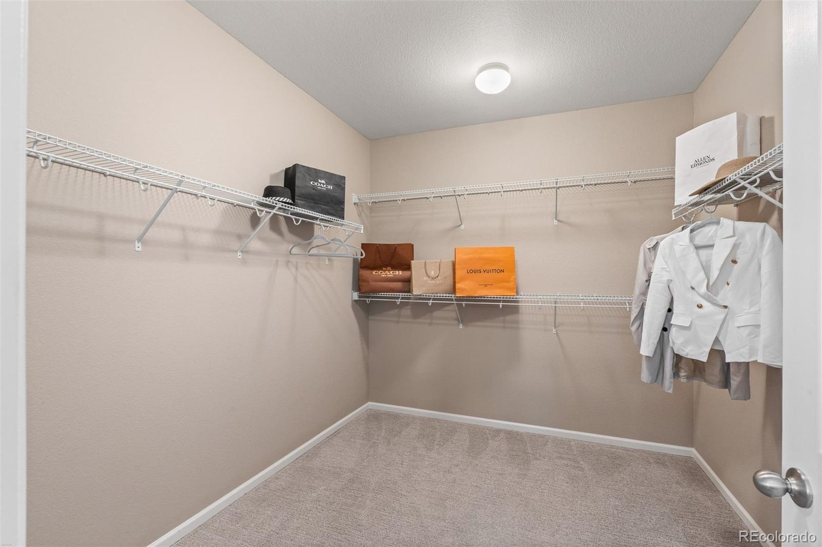 MLS Image #26 for 2564  fair meadow place,castle rock, Colorado