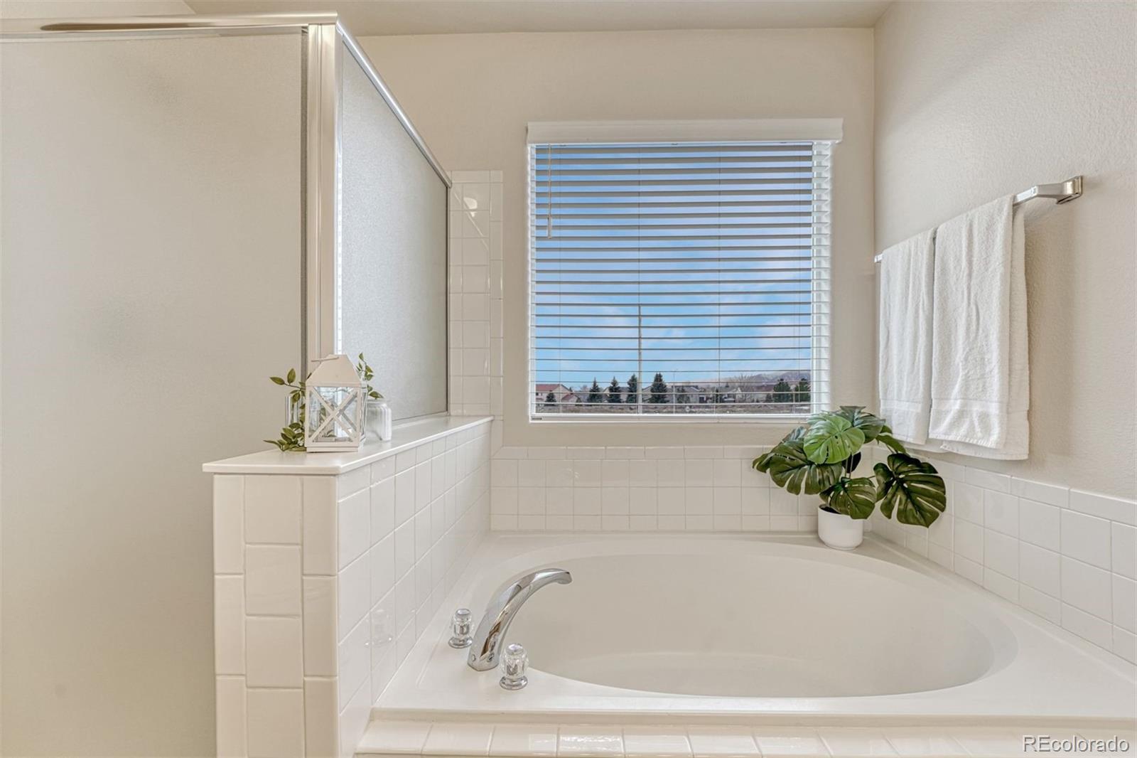 MLS Image #20 for 8352  james creek drive,colorado springs, Colorado