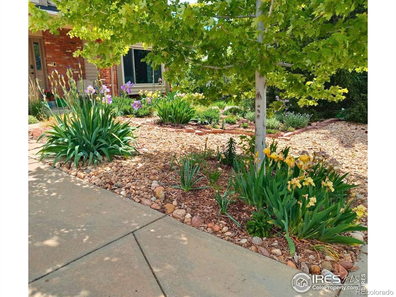 MLS Image #45 for 2253  spinnaker circle,longmont, Colorado