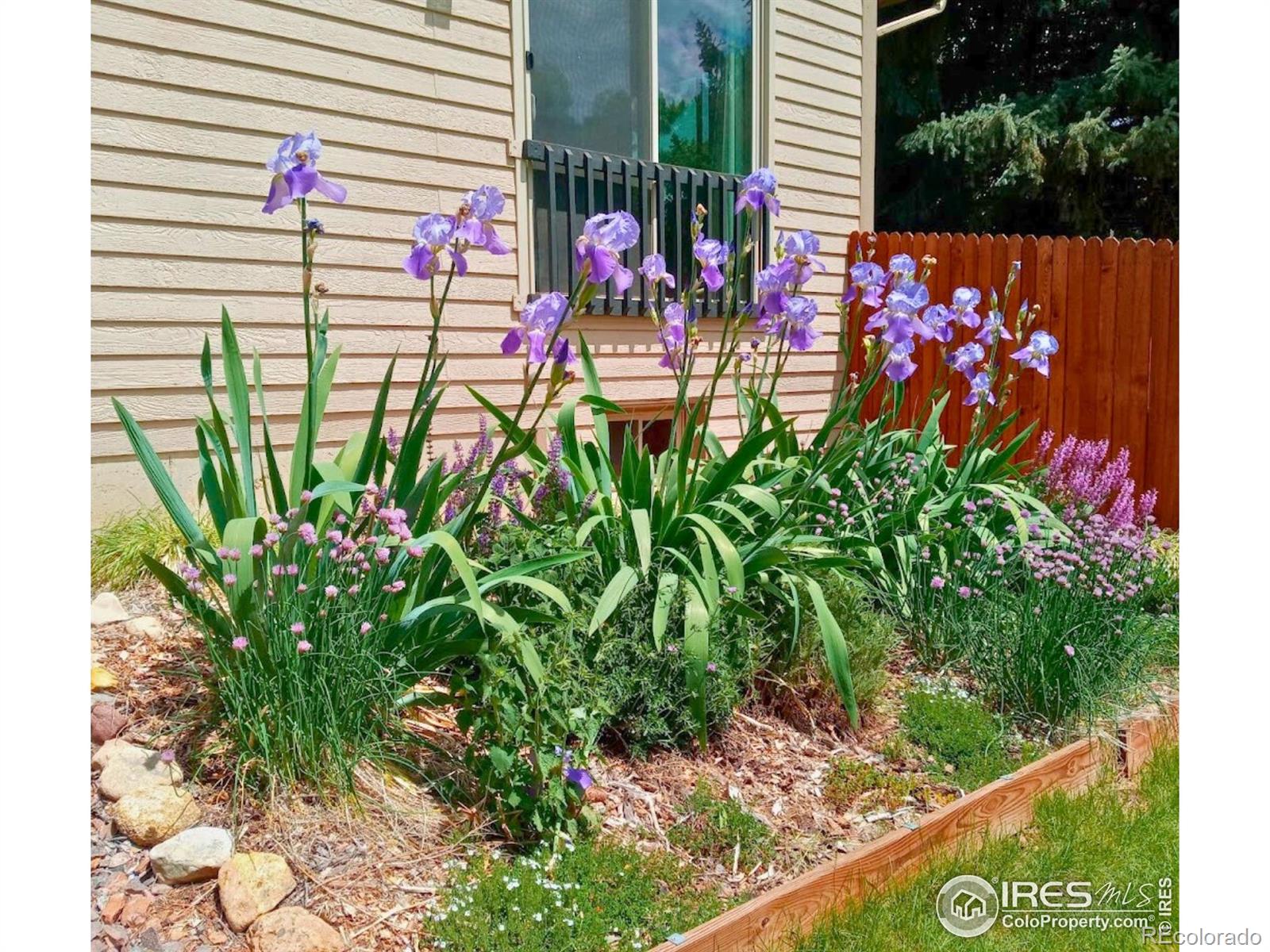 MLS Image #46 for 2253  spinnaker circle,longmont, Colorado