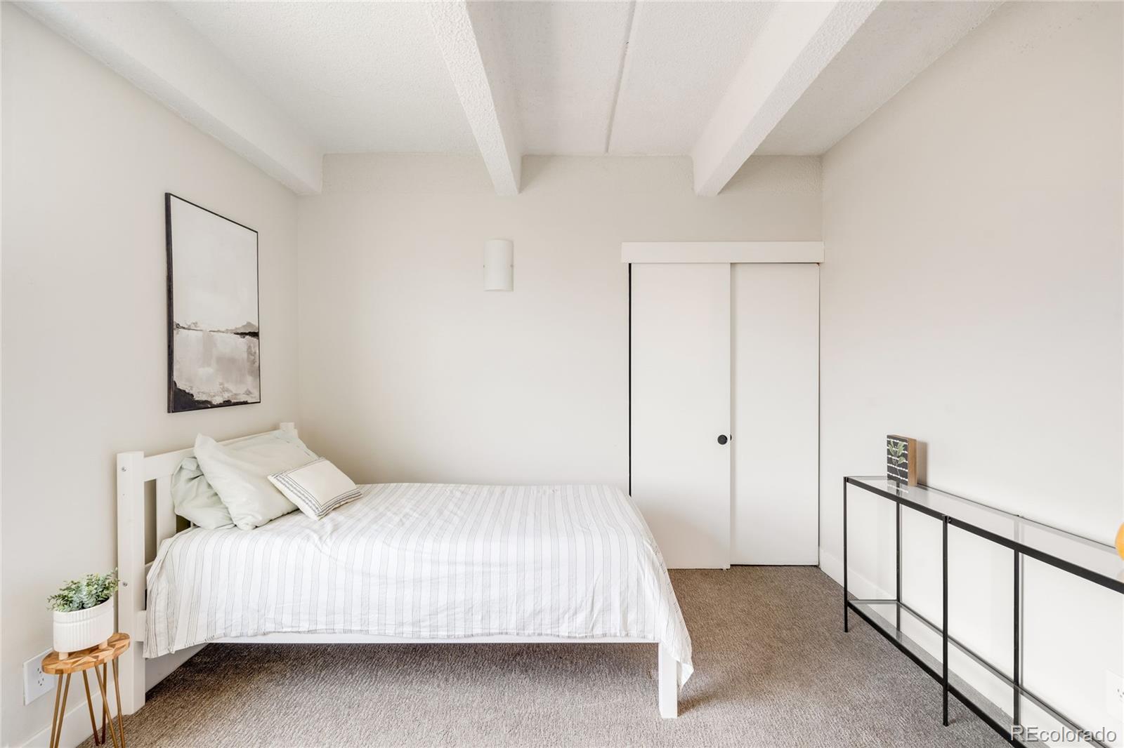 MLS Image #19 for 1265  race street 301,denver, Colorado