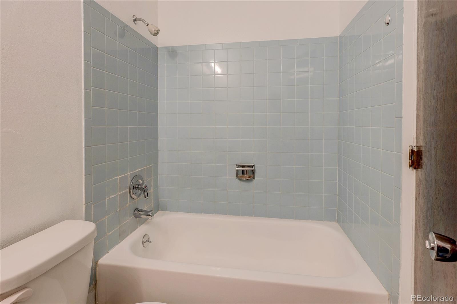 MLS Image #11 for 14832  elmendorf place,denver, Colorado