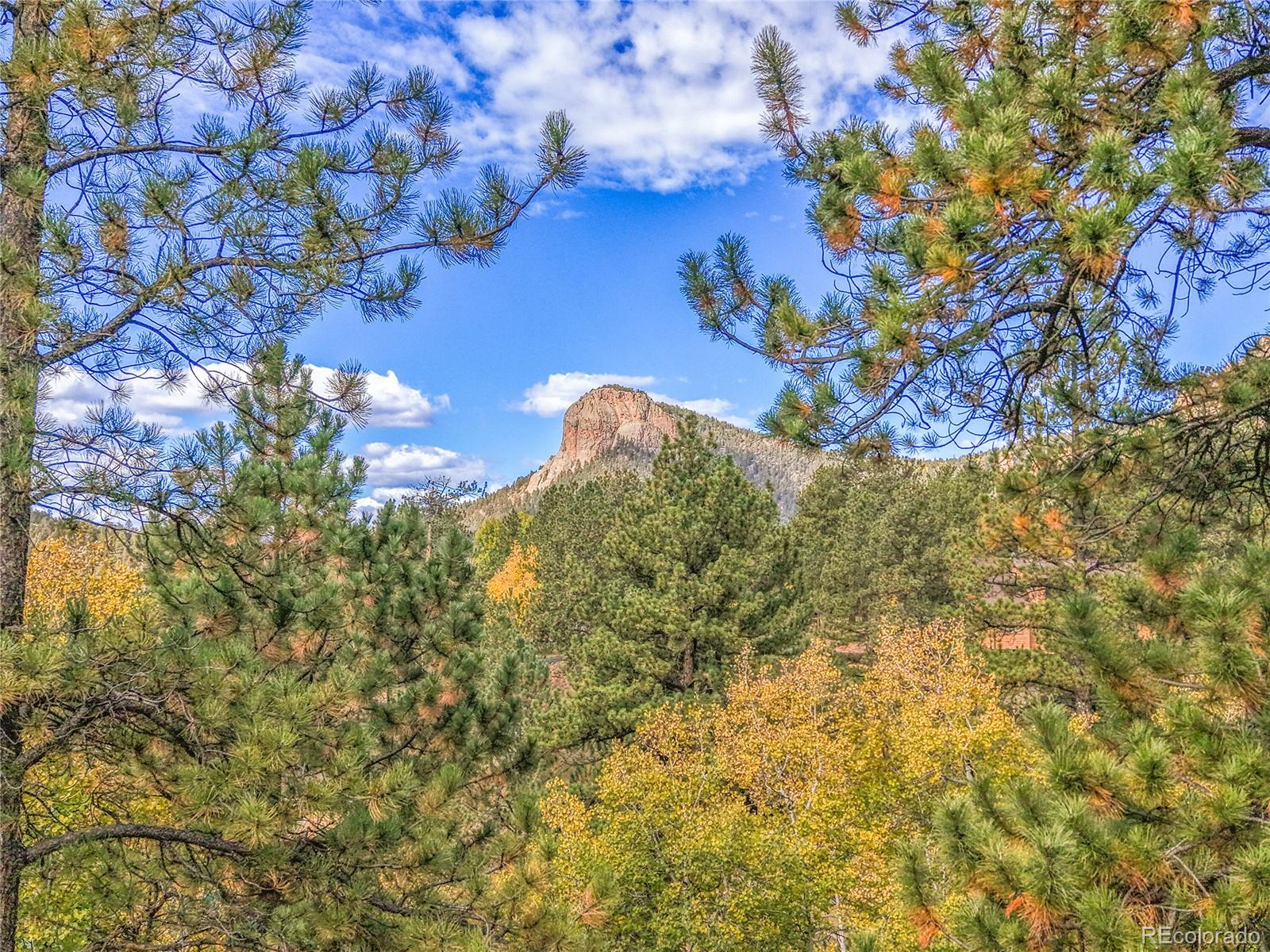 MLS Image #1 for 11864 s stallion drive,pine, Colorado