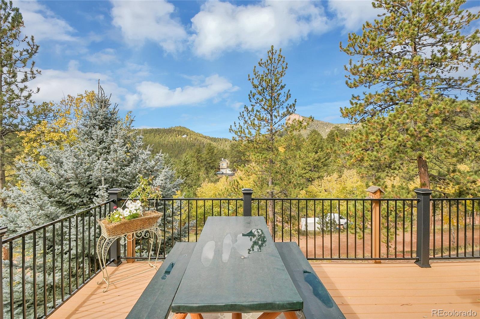 MLS Image #28 for 11864 s stallion drive,pine, Colorado