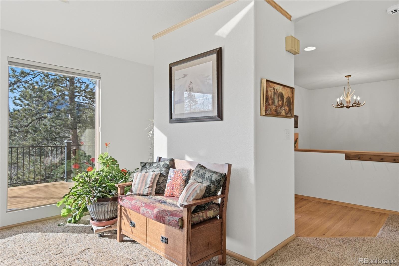 MLS Image #6 for 11864 s stallion drive,pine, Colorado