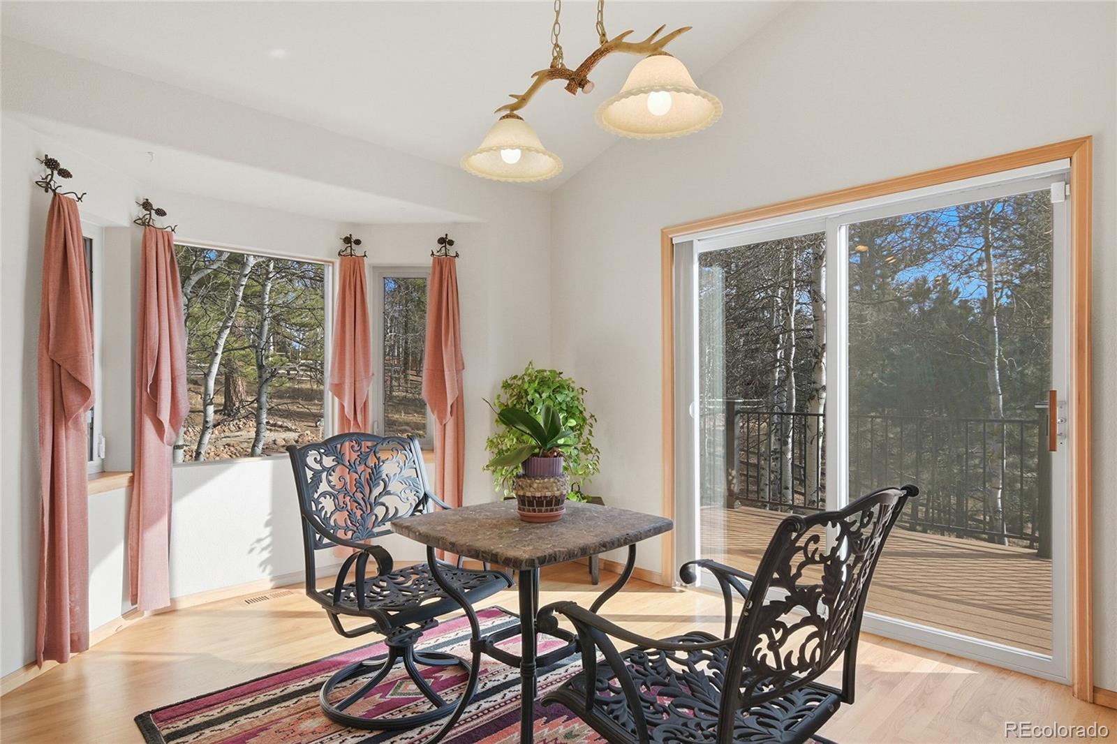 MLS Image #7 for 11864 s stallion drive,pine, Colorado