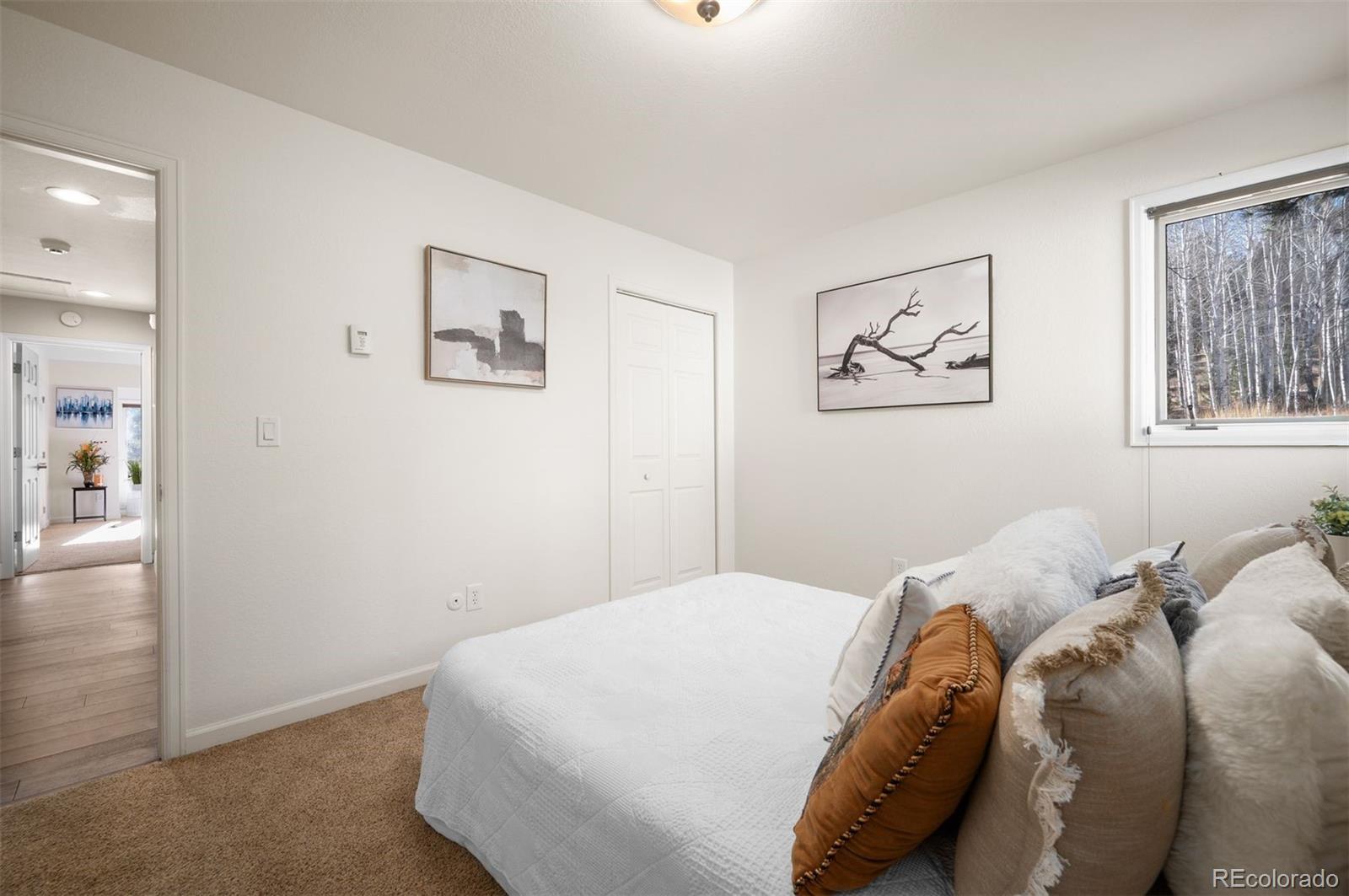 MLS Image #19 for 1362  pine valley road,evergreen, Colorado