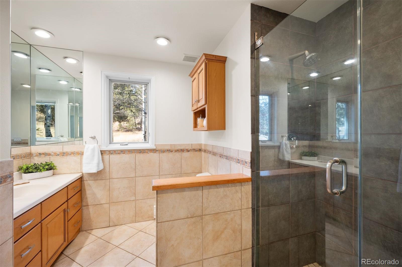 MLS Image #21 for 1362  pine valley road,evergreen, Colorado