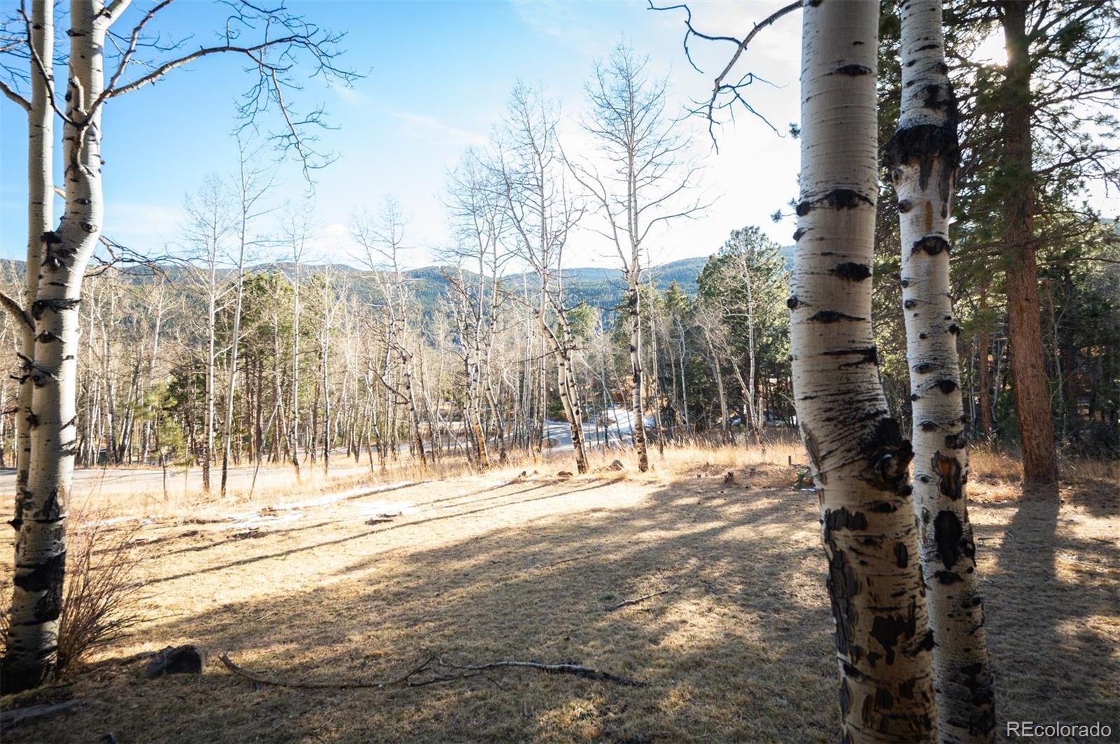 MLS Image #44 for 1362  pine valley road,evergreen, Colorado