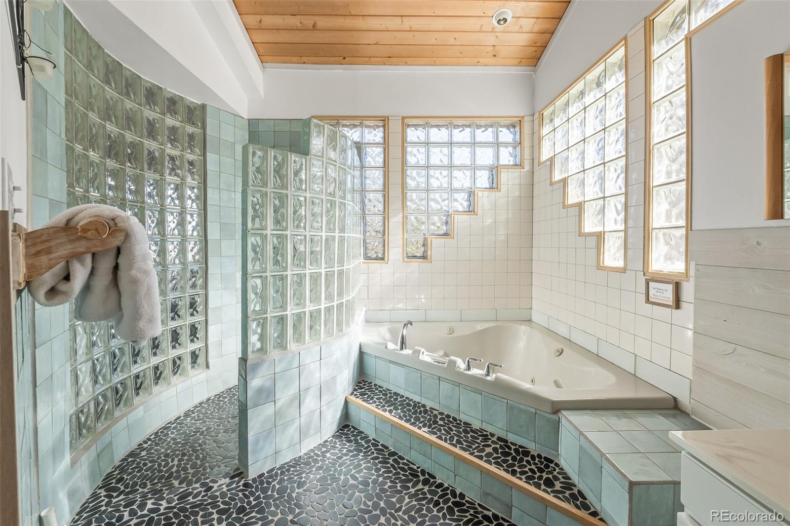 MLS Image #23 for 2028  redhill road,fairplay, Colorado
