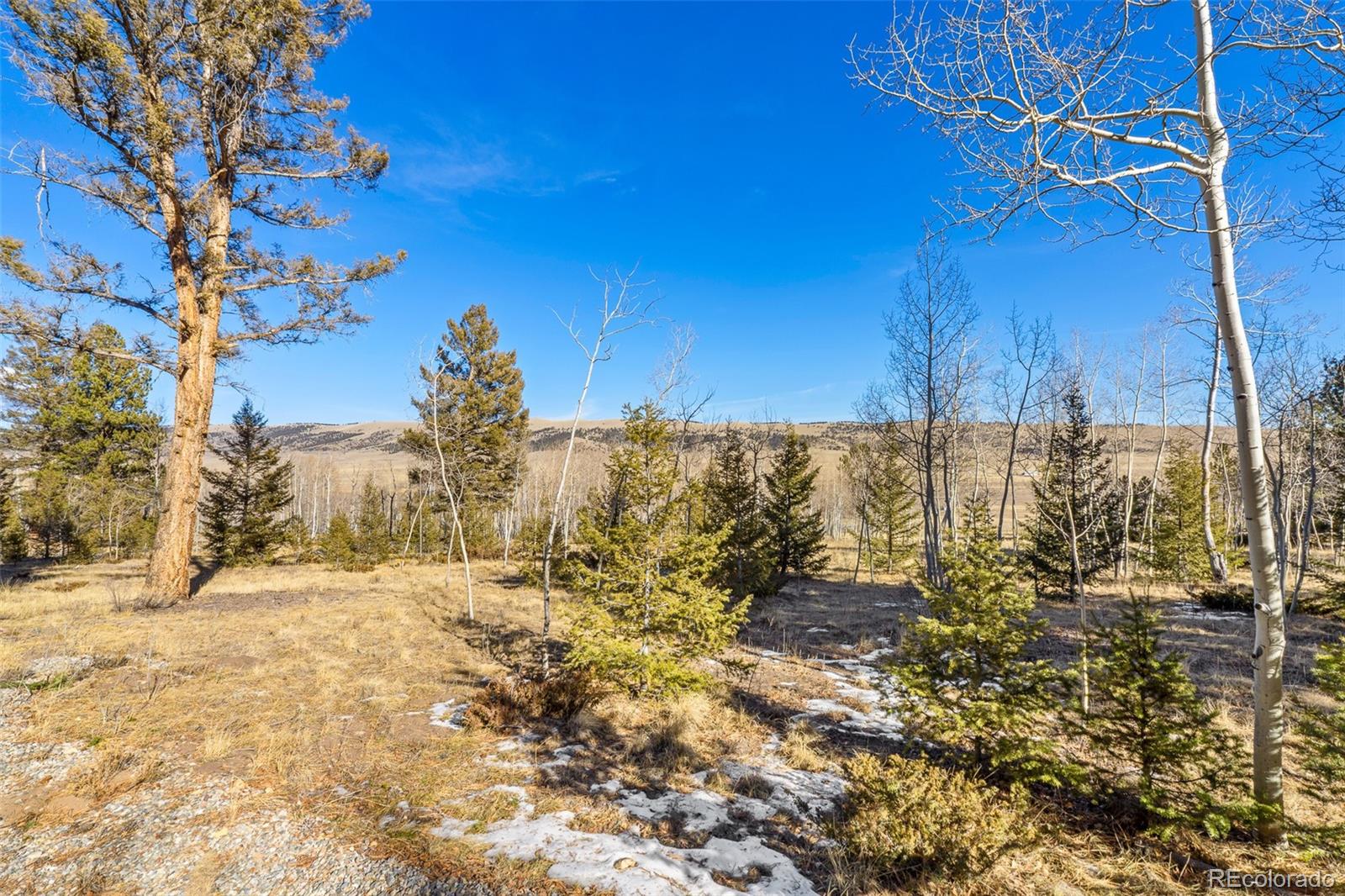 MLS Image #37 for 2028  redhill road,fairplay, Colorado