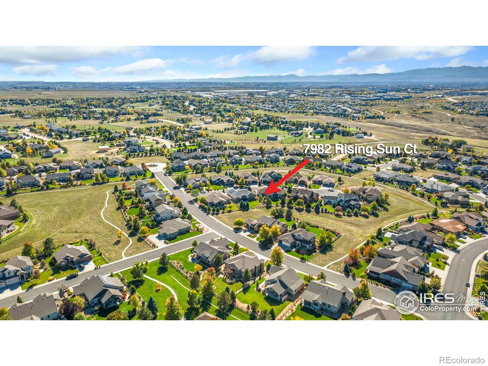 MLS Image #3 for 7982  rising sun court,windsor, Colorado
