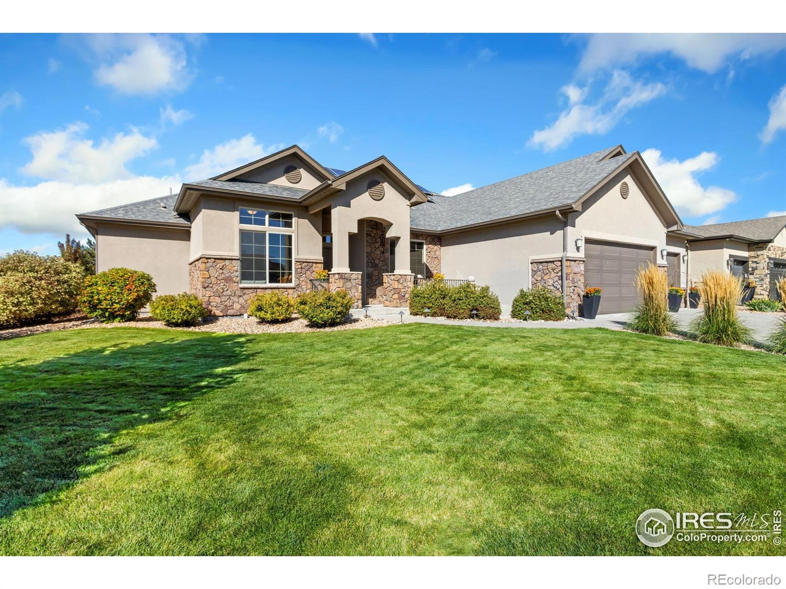 MLS Image #4 for 7982  rising sun court,windsor, Colorado