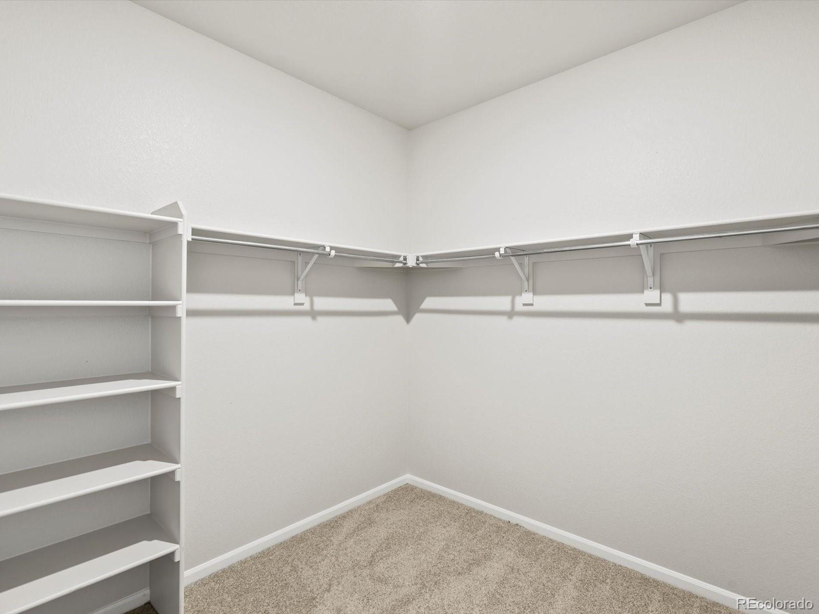 MLS Image #19 for 1626  rumley creek drive,windsor, Colorado