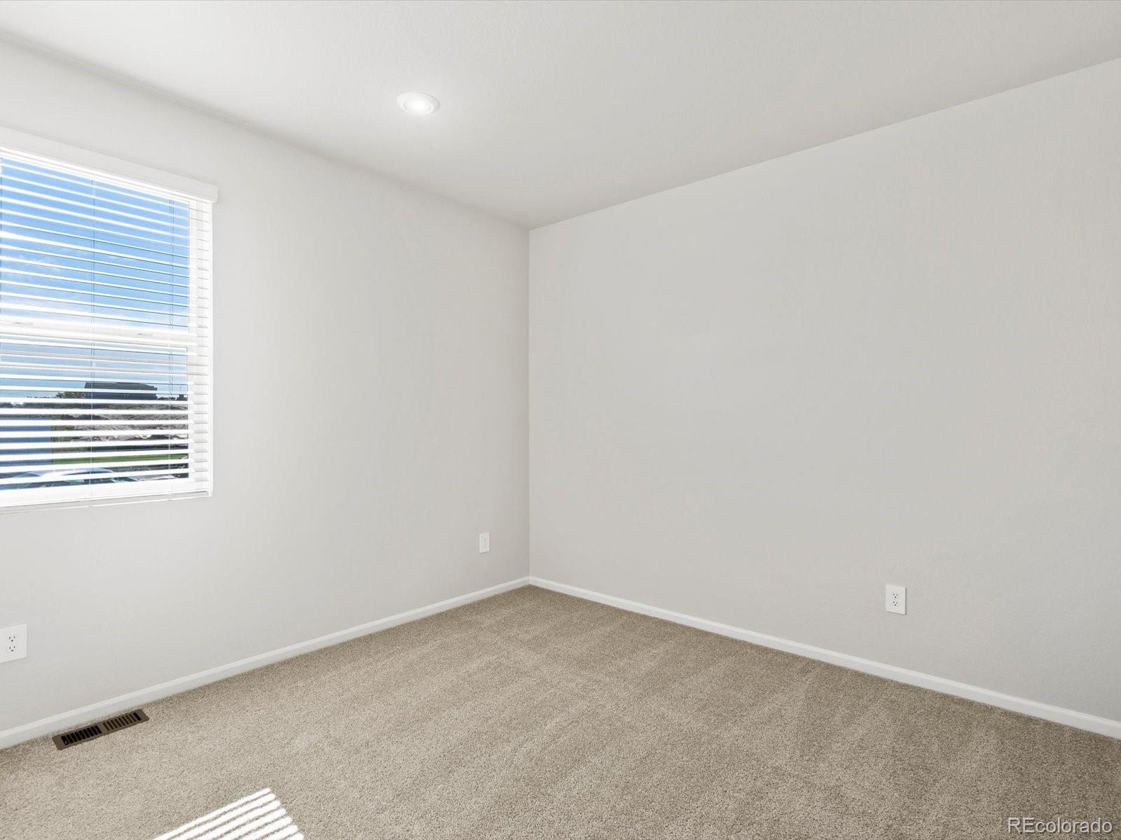 MLS Image #20 for 1626  rumley creek drive,windsor, Colorado