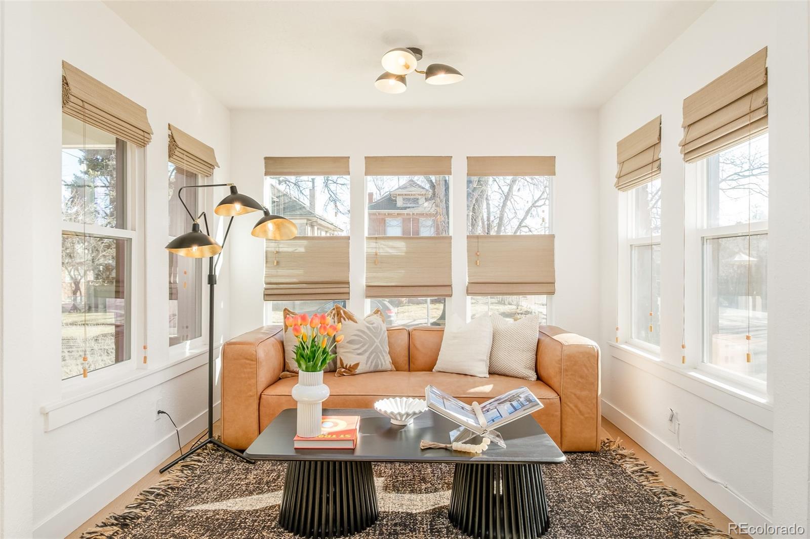 MLS Image #2 for 1201  steele street,denver, Colorado