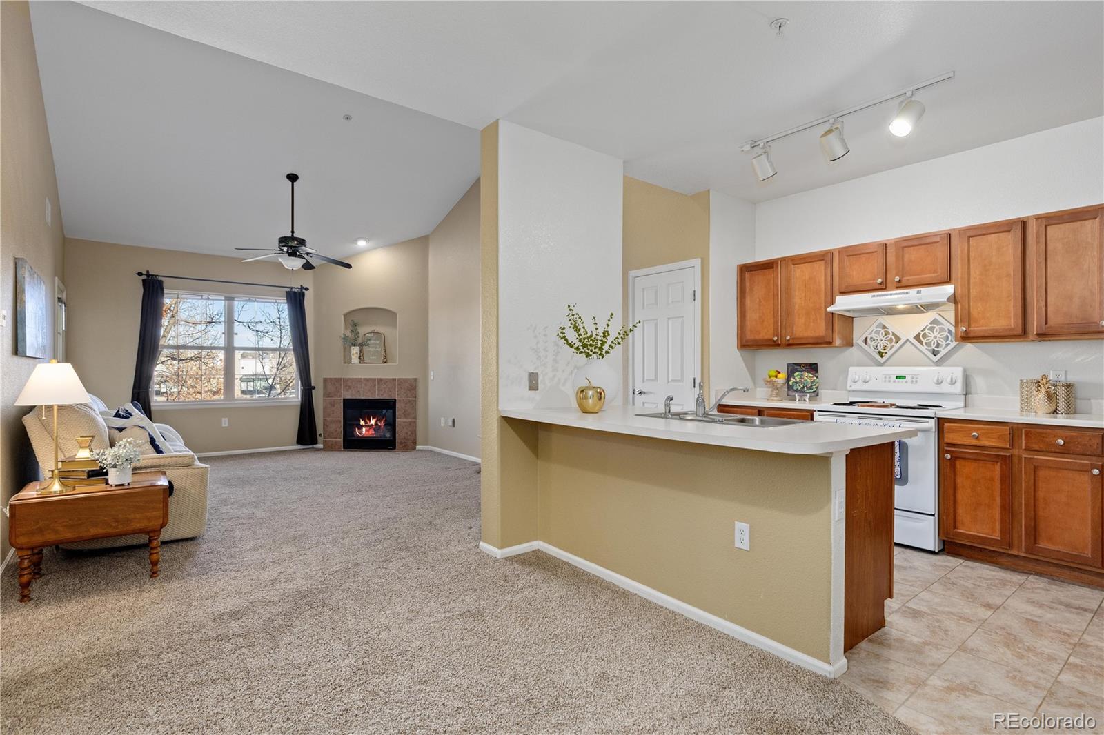MLS Image #1 for 10841  twenty mile road 206,parker, Colorado