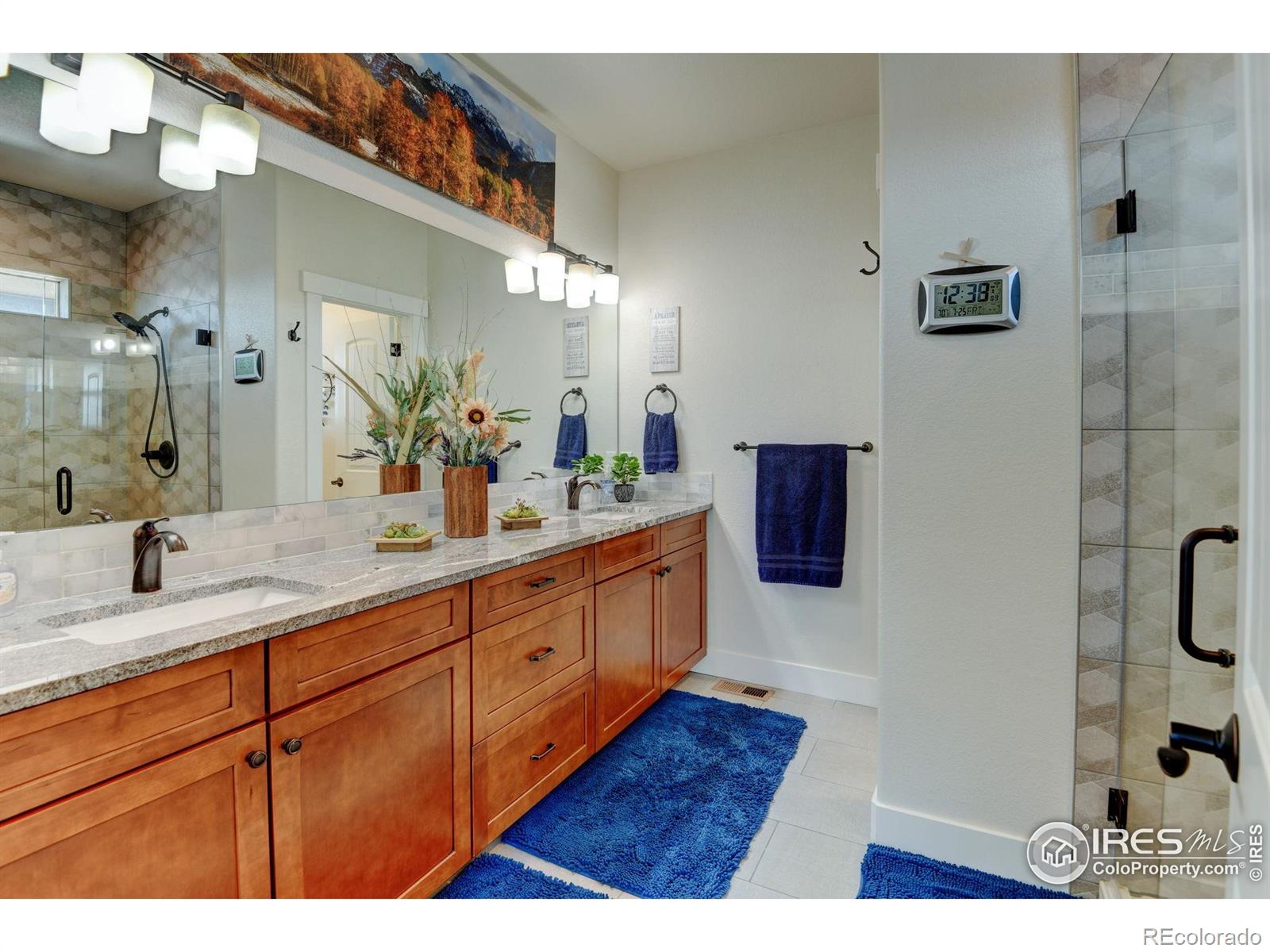 MLS Image #19 for 31460 e 162nd avenue,hudson, Colorado