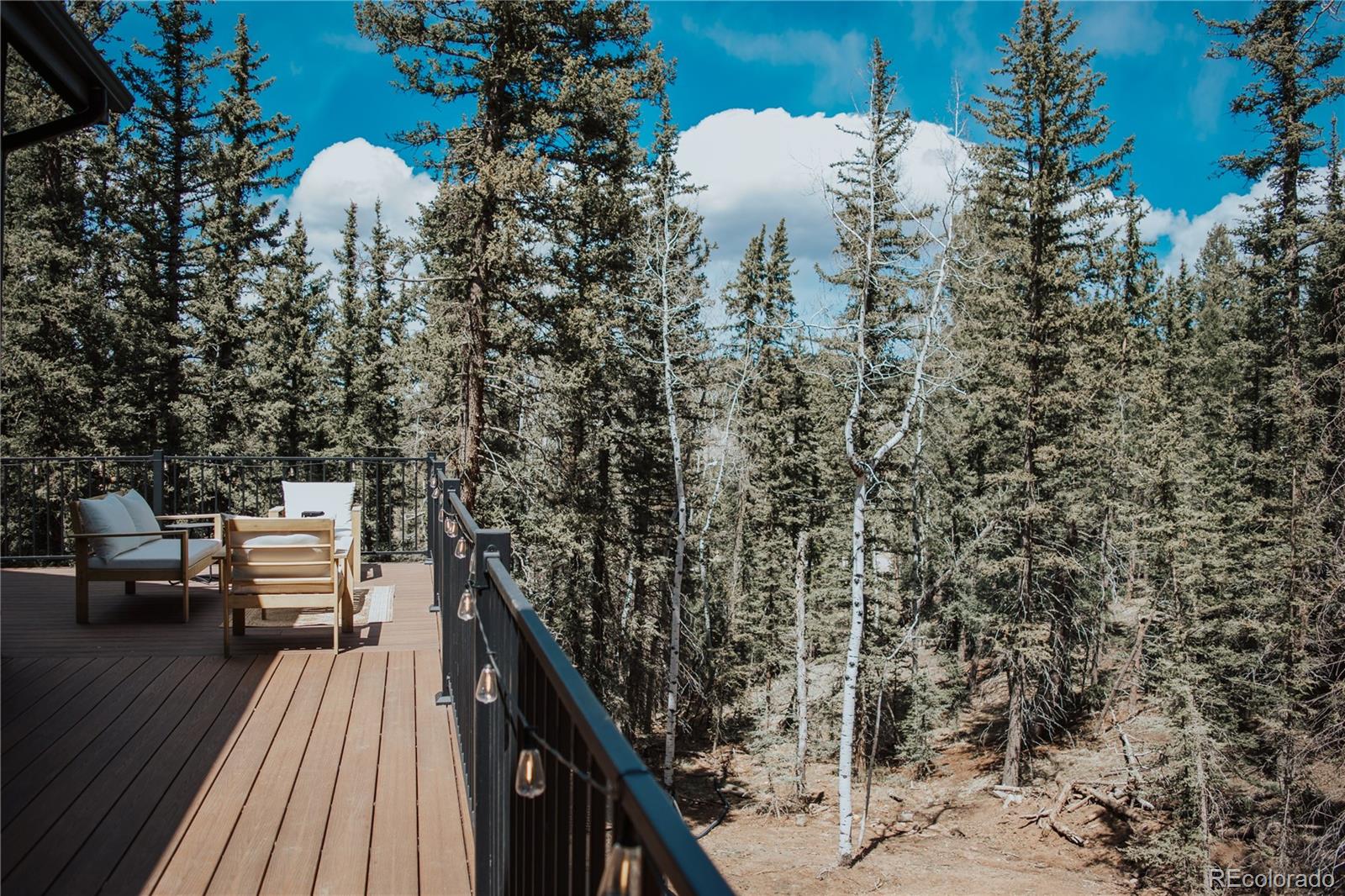 MLS Image #42 for 7  westwood drive,woodland park, Colorado