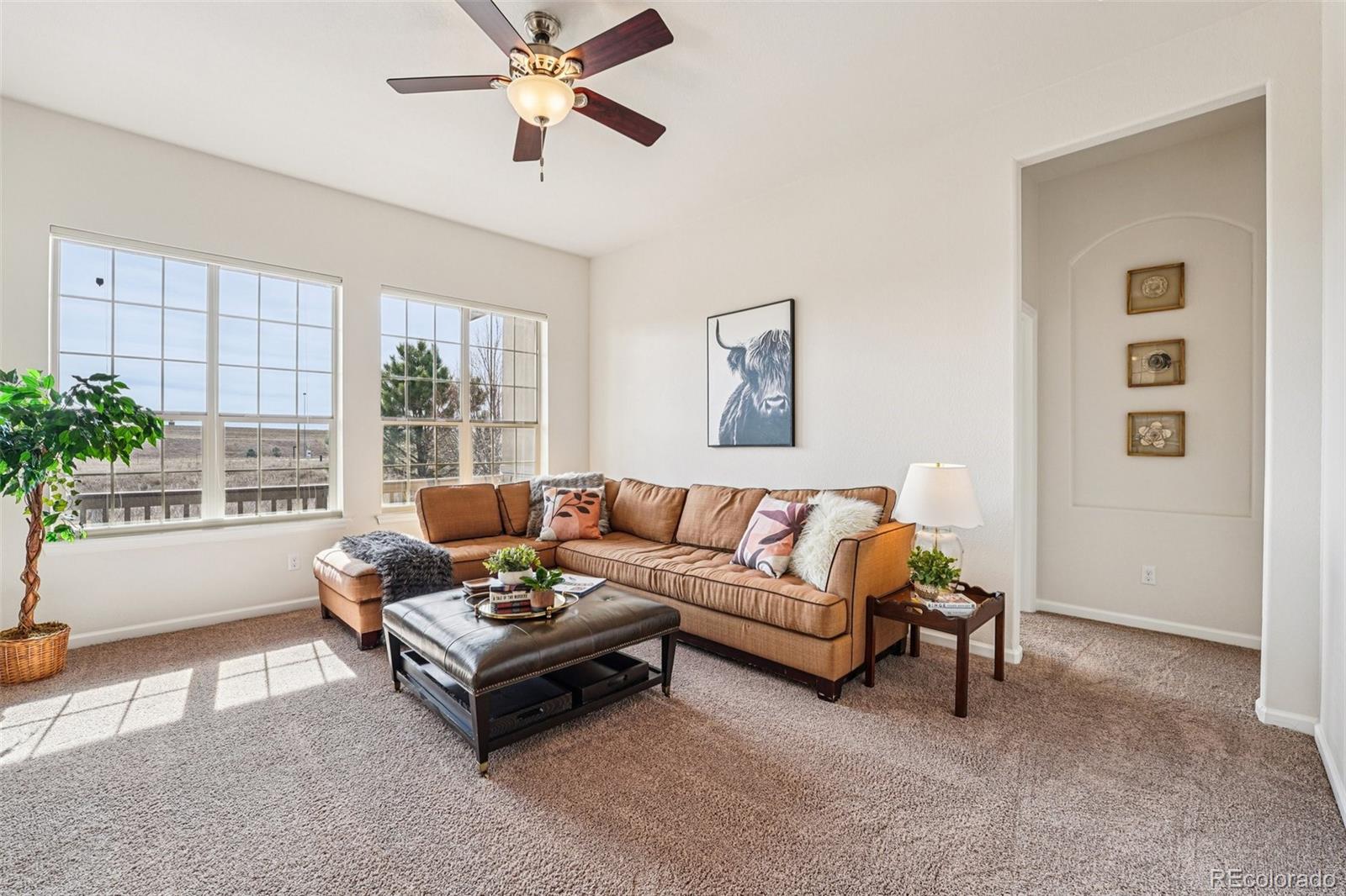 MLS Image #10 for 4120  wild horse drive,broomfield, Colorado