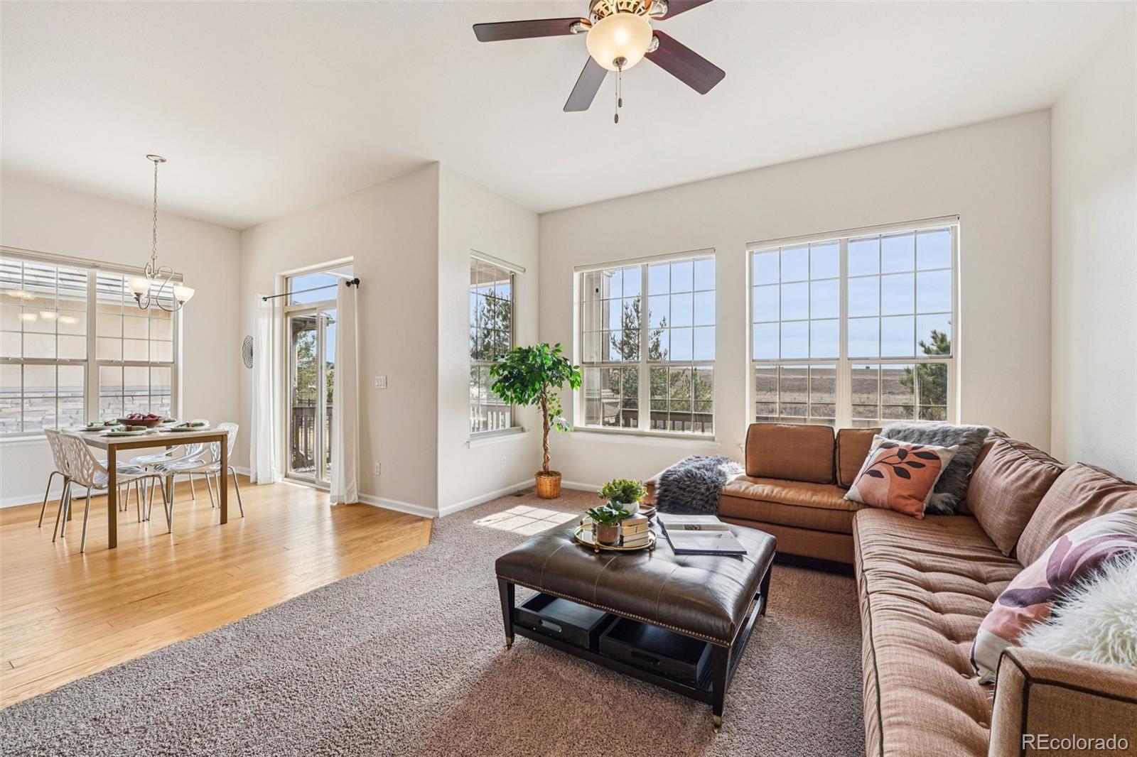 MLS Image #11 for 4120  wild horse drive,broomfield, Colorado