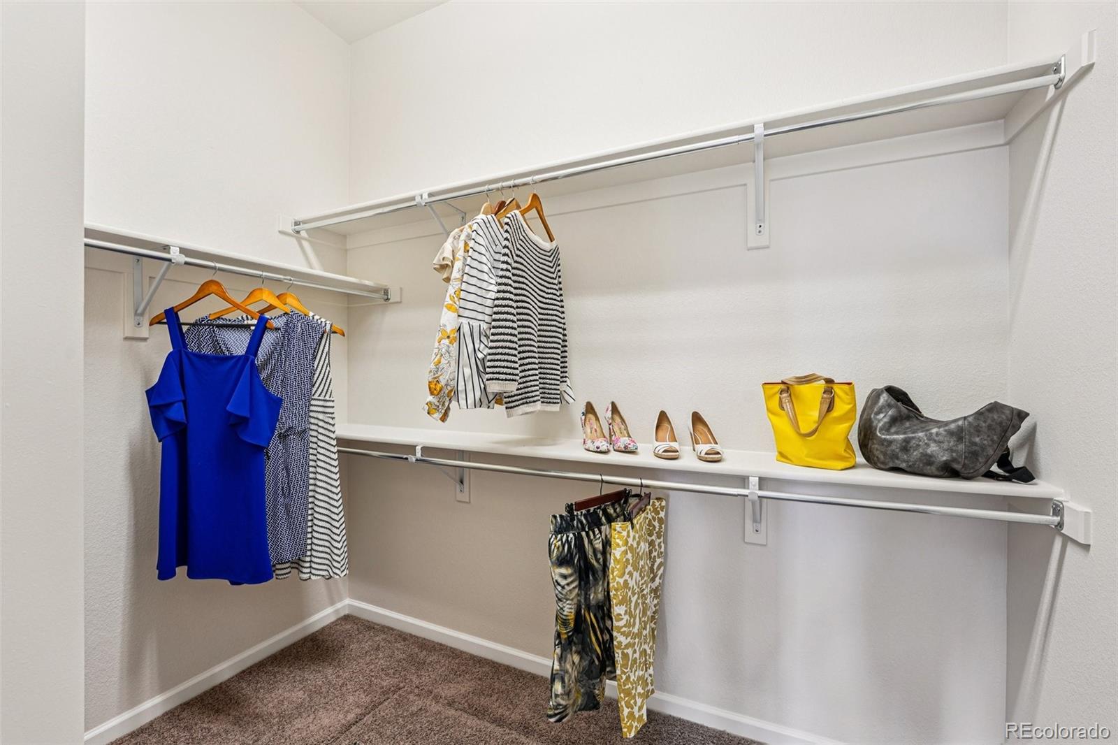 MLS Image #25 for 4120  wild horse drive,broomfield, Colorado