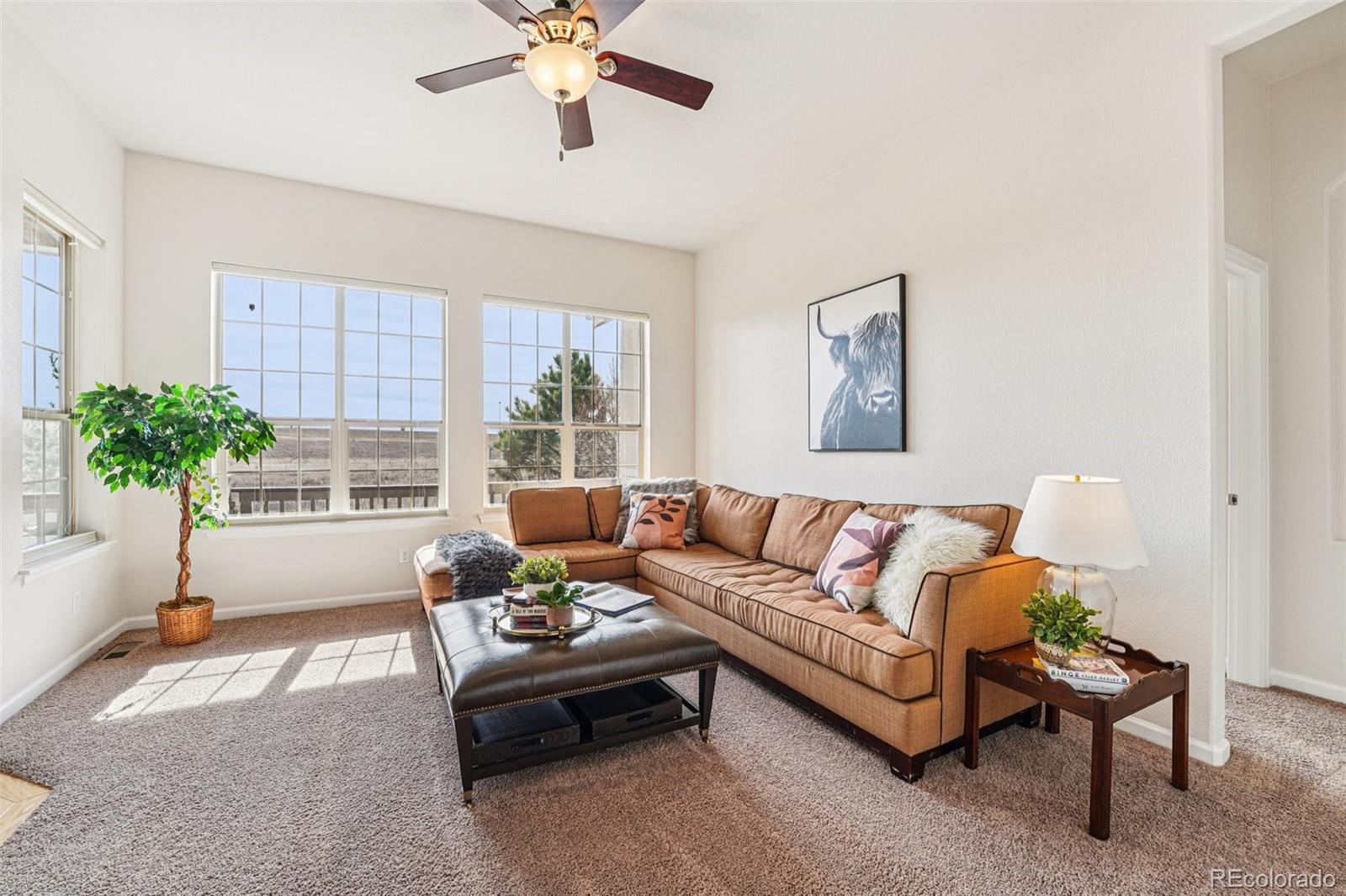 MLS Image #3 for 4120  wild horse drive,broomfield, Colorado