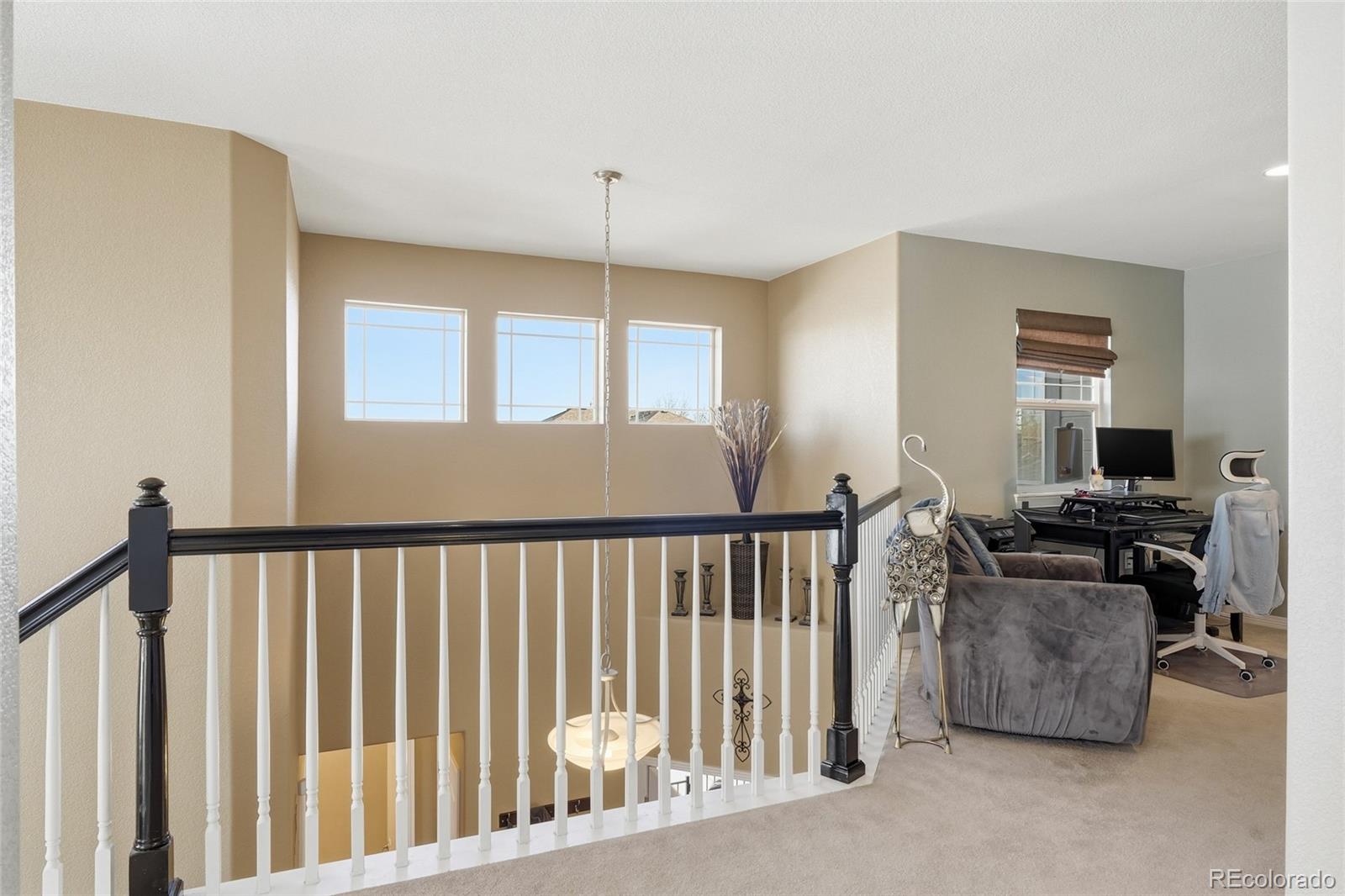 MLS Image #22 for 13377  king lake trail,broomfield, Colorado
