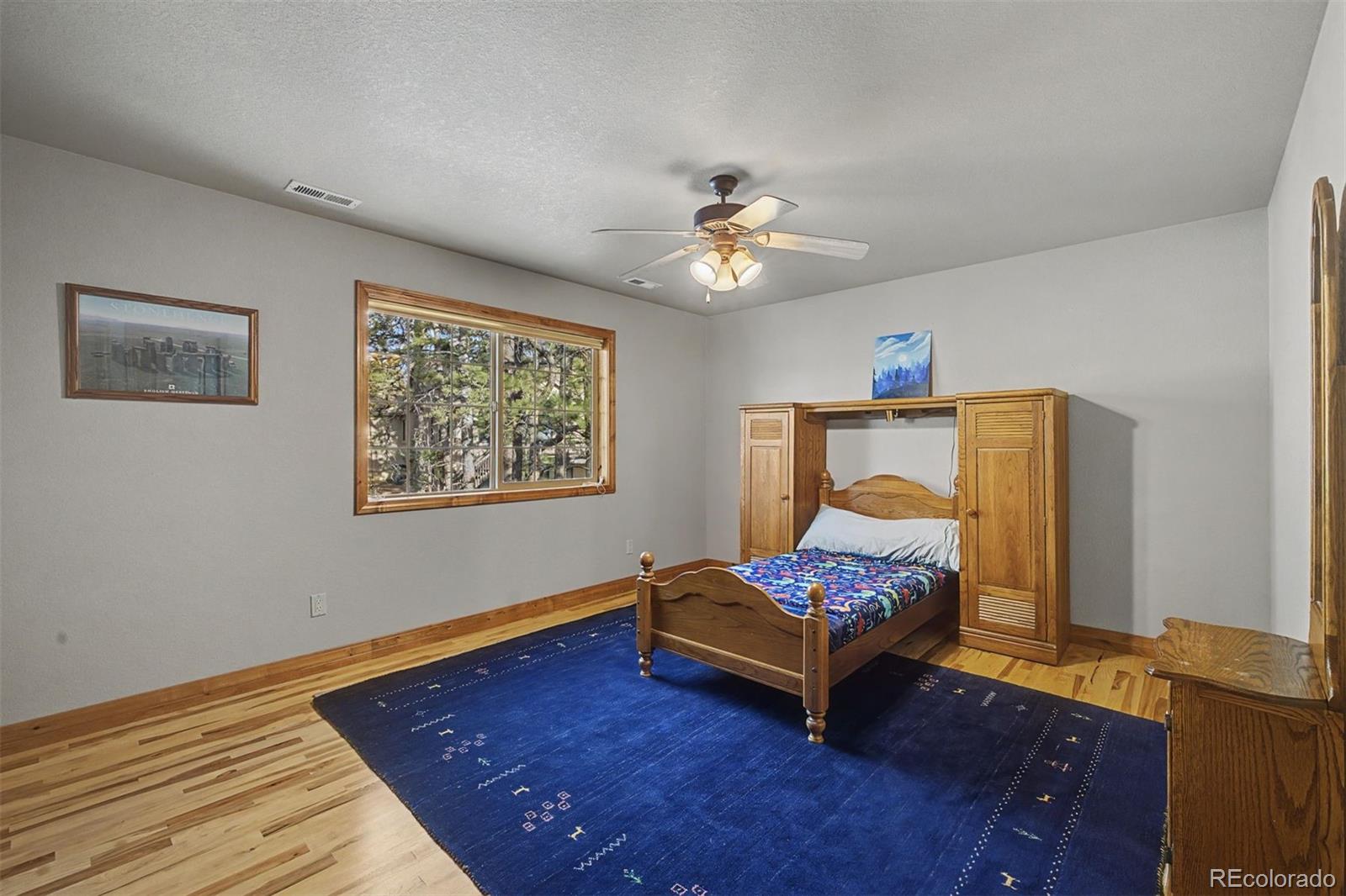 MLS Image #28 for 17536  cabin hill lane,colorado springs, Colorado
