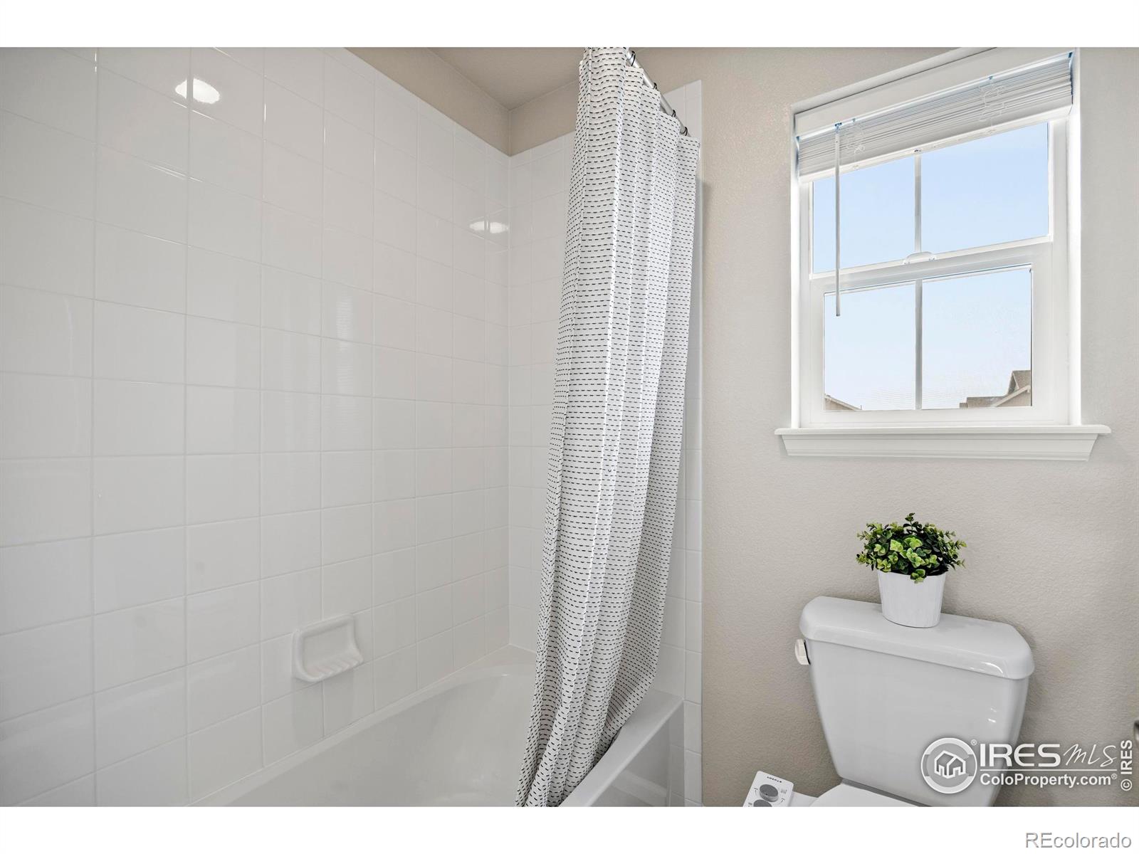 MLS Image #23 for 387  seahorse drive,windsor, Colorado