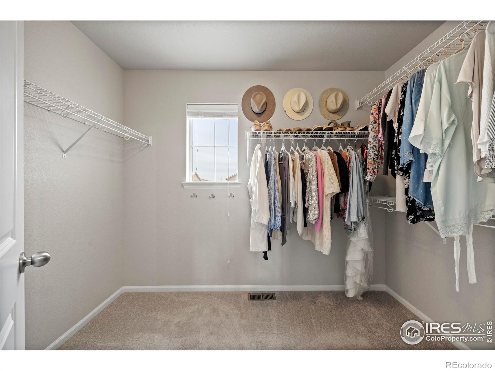 MLS Image #27 for 387  seahorse drive,windsor, Colorado