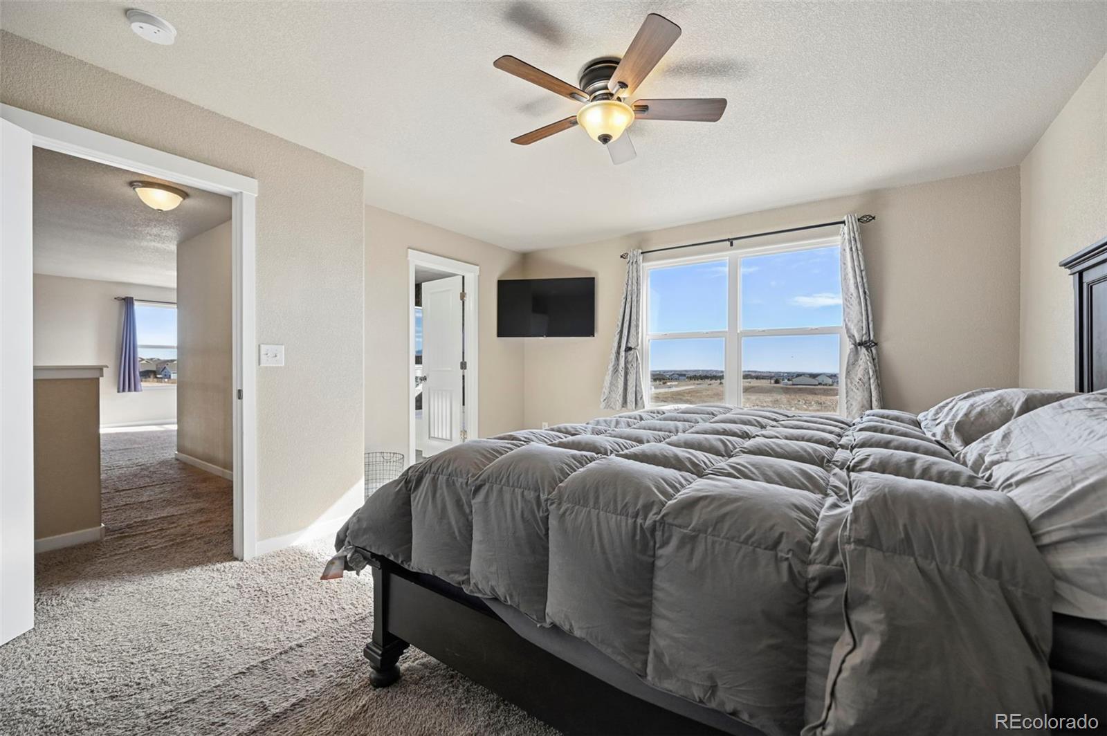 MLS Image #29 for 9707  beckham street,peyton, Colorado