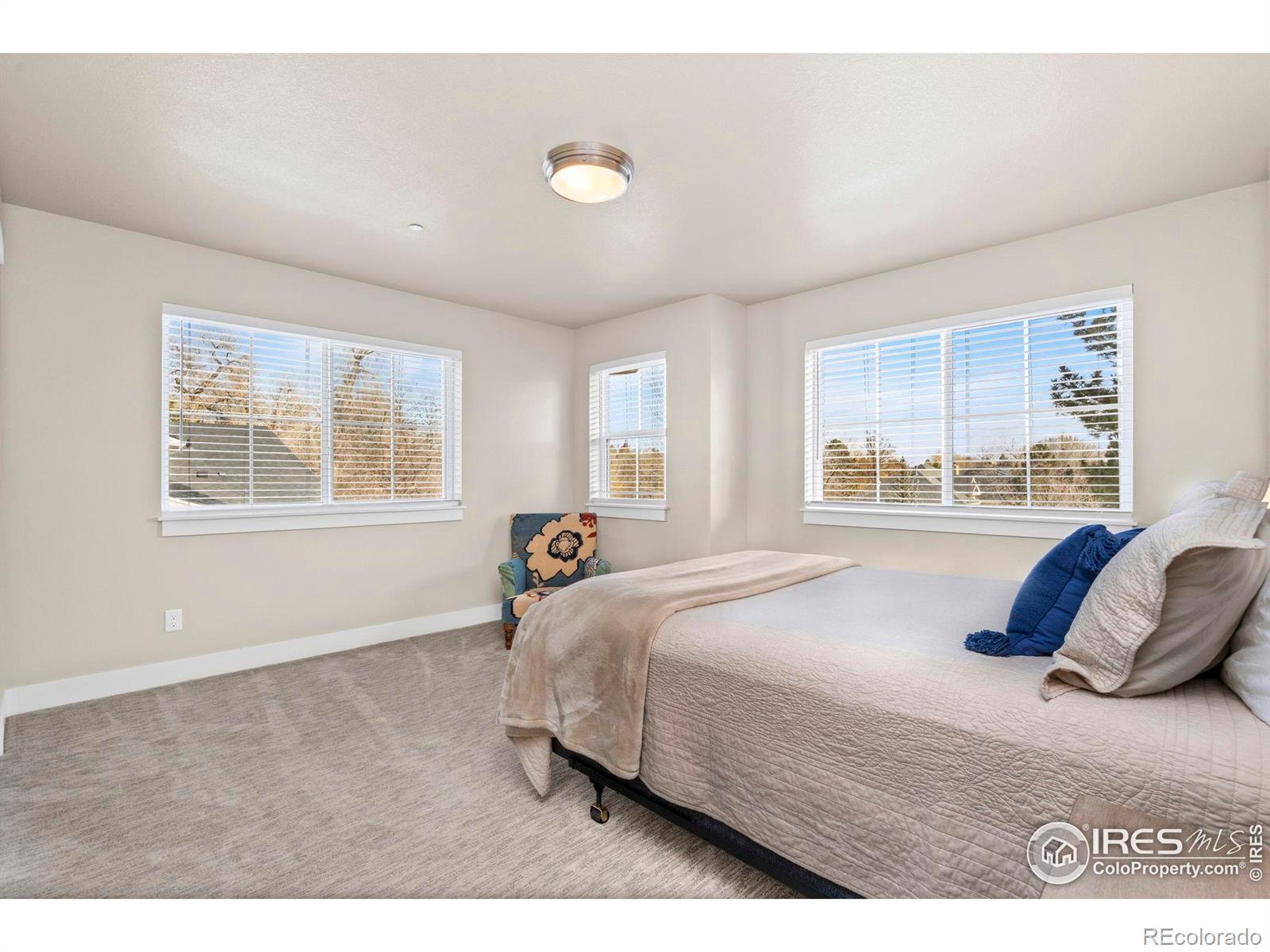 MLS Image #27 for 910  hill pond road,fort collins, Colorado